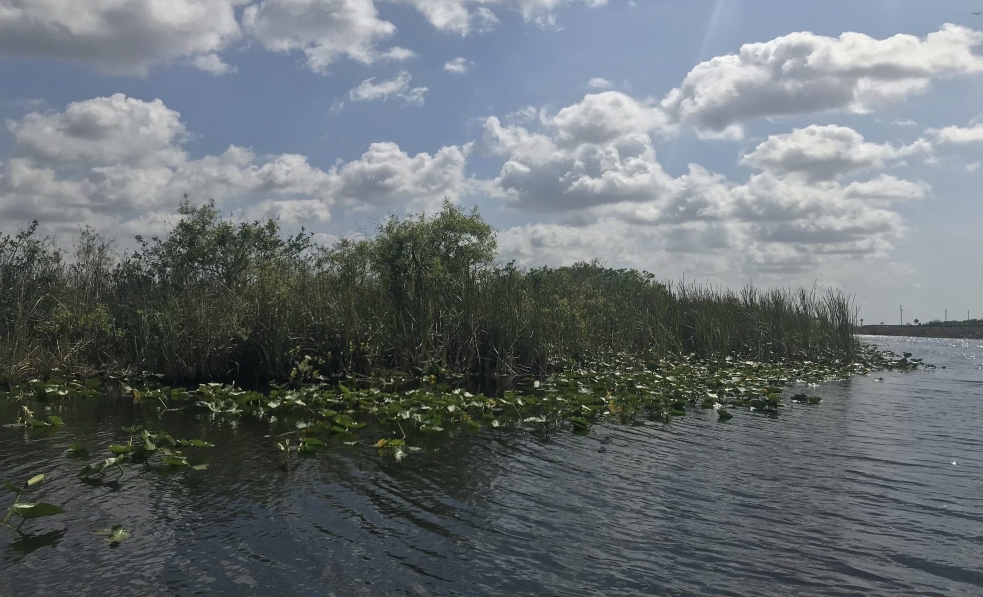 Faszinierende Schönheit des Everglades-Nationalparks, 1920x1170 HD Desktop