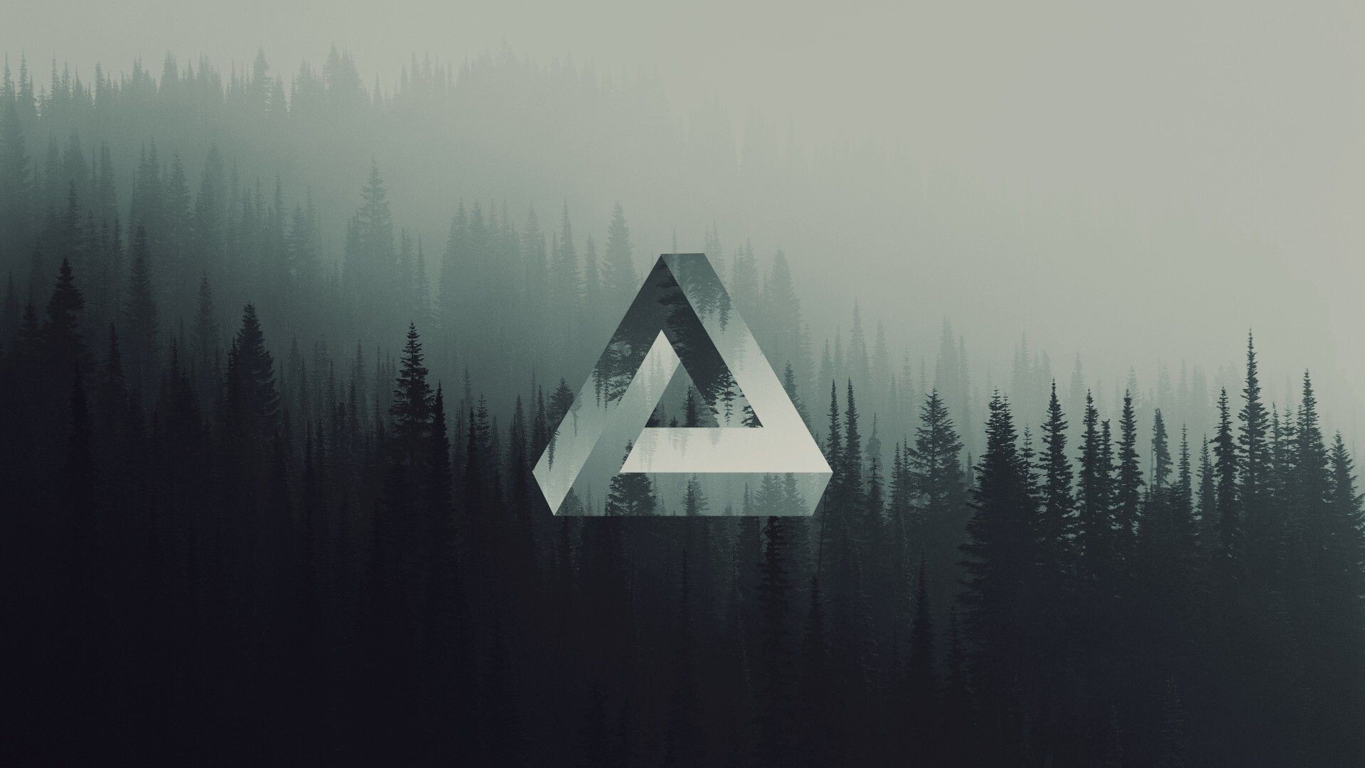 Triangle: Penrose triangle, Natural landscape, Evergreen forest. 1920x1080 Full HD Wallpaper.