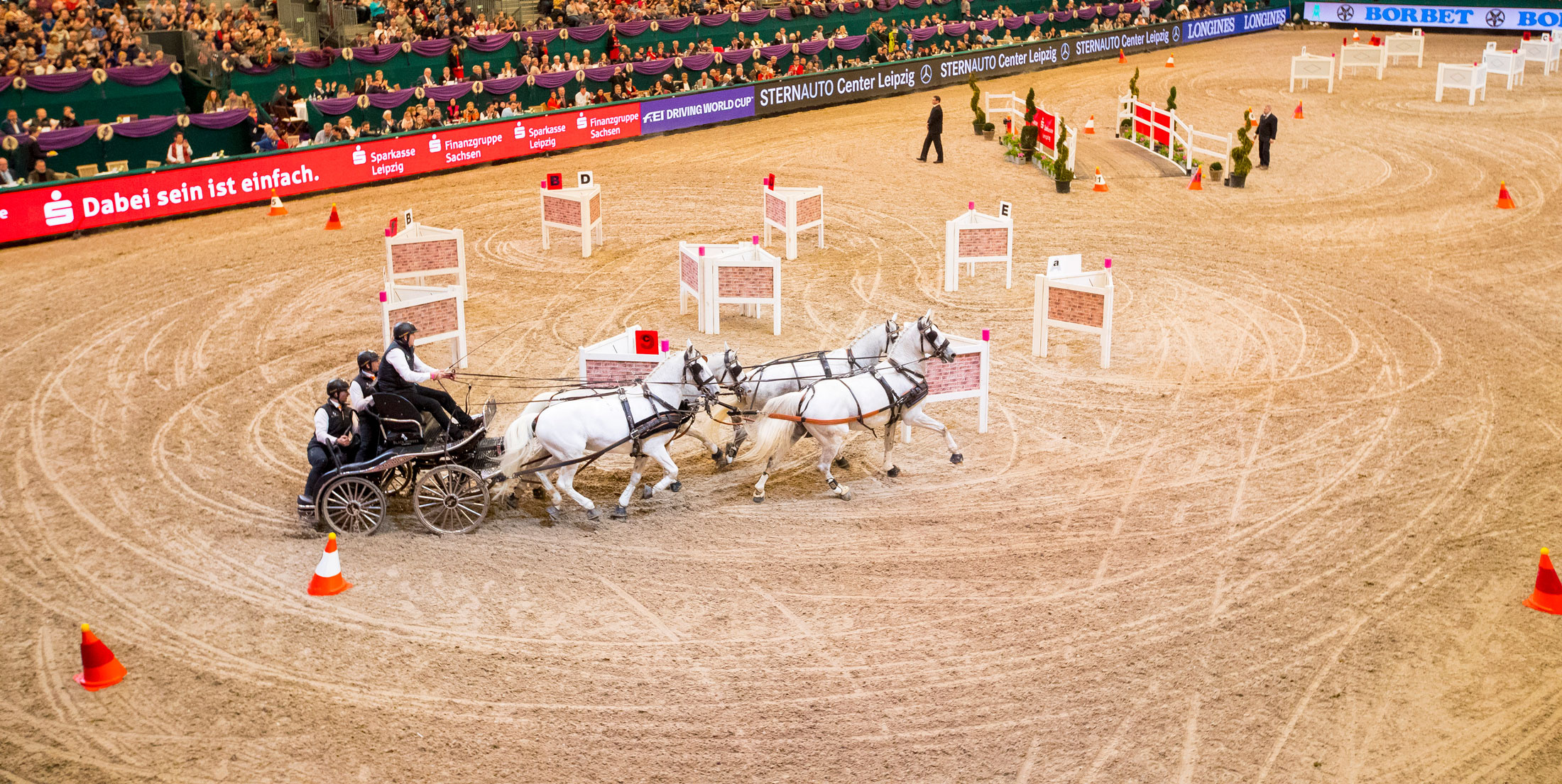 Carriage Driving, Brilliant backsteppers, Sports, Tribute, 2200x1110 HD Desktop