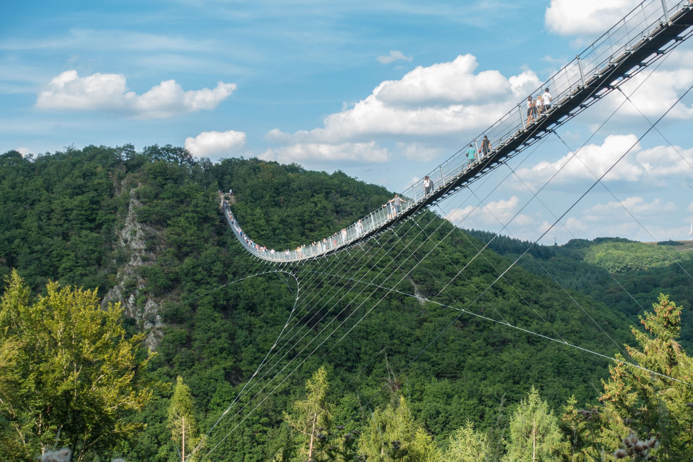 Bridge: The Geierlay, The low mountain range of the Hunsrück in western Germany. 2400x1600 HD Wallpaper.