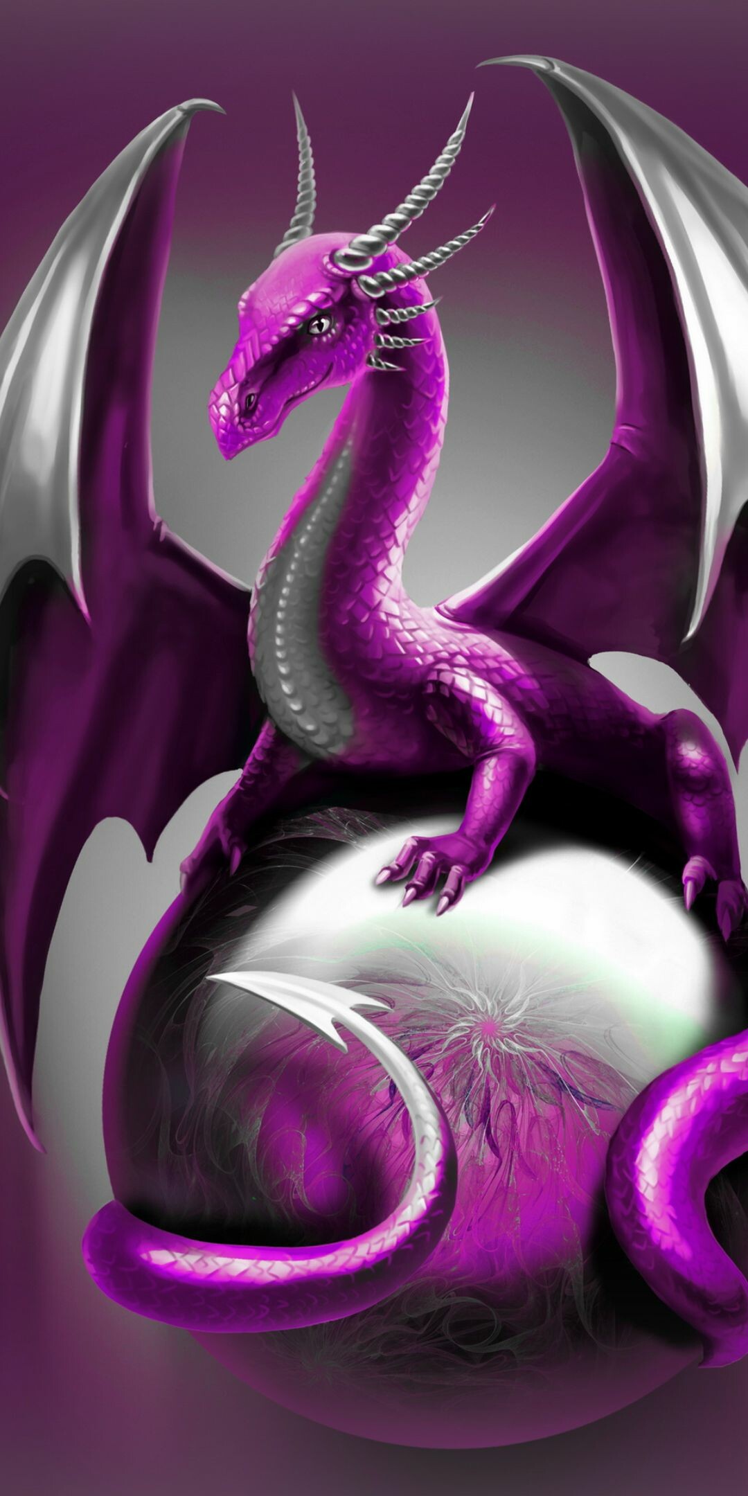 Dragon: A race of terrifying, gigantic, long-living, reptilian beasts. 1080x2160 HD Wallpaper.