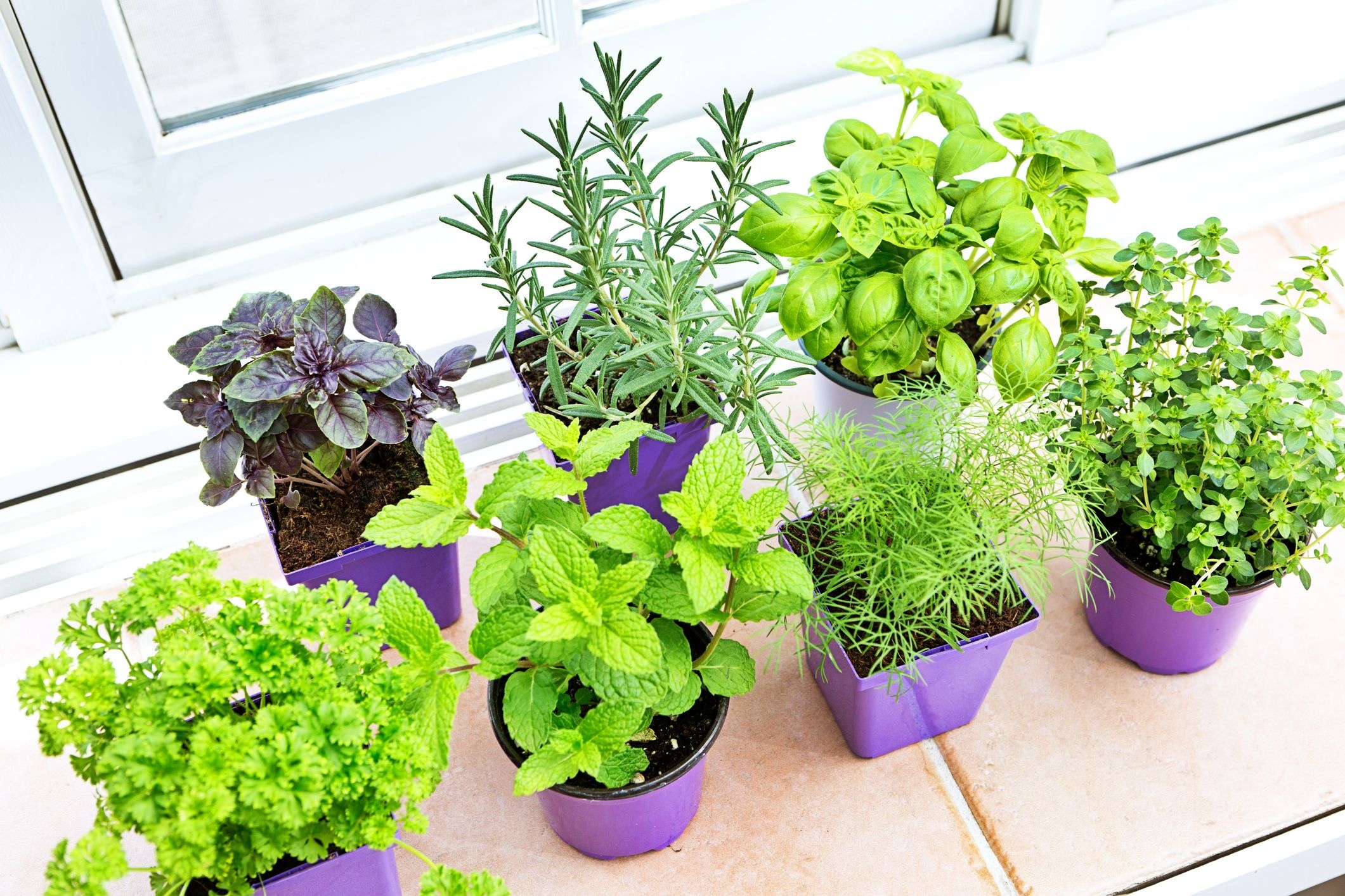 Indoor herb garden, DIY project, Greenery indoors, Fresh herbs at hand, 2130x1420 HD Desktop