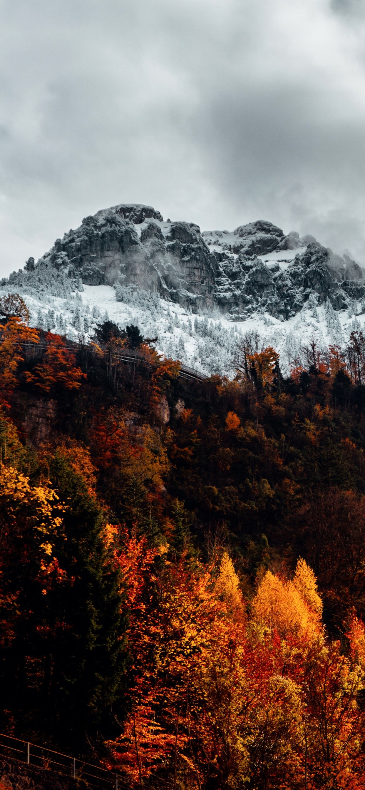 Autumn: Yellowish color of foliage, Wilderness, Seasonal changes. 1250x2690 HD Wallpaper.