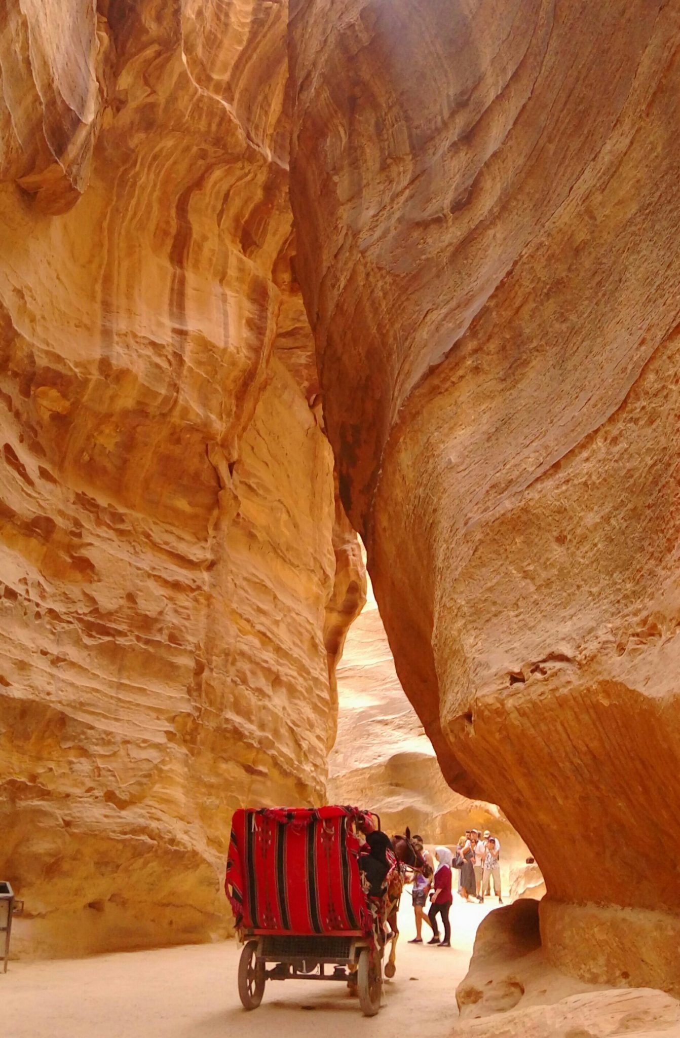 Jordan travel blog, Amazing experiences, Ancient ruins, Cultural immersion, 1350x2050 HD Phone