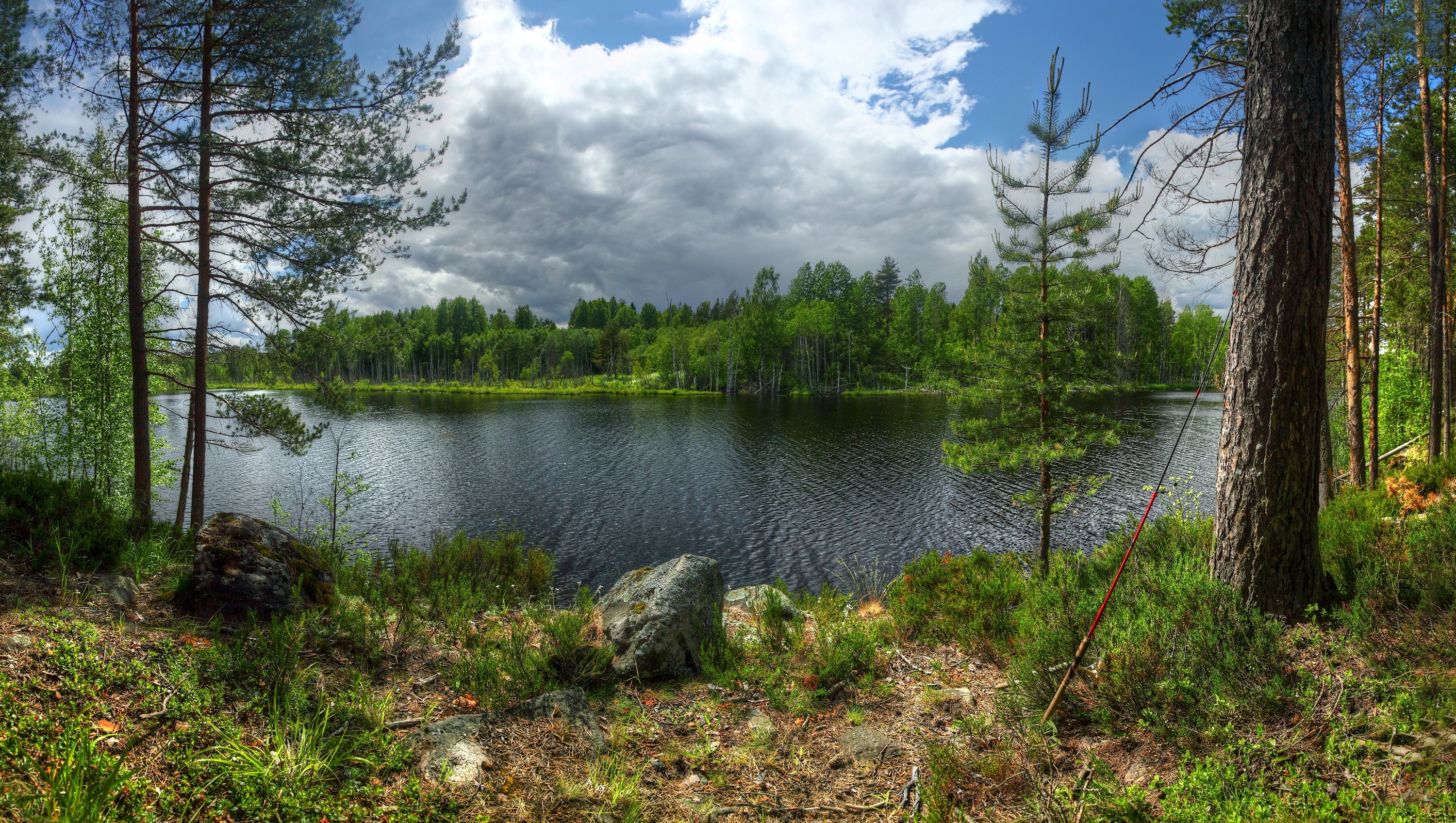 Ladoga Lake wallpaper, Karelia forests, Russian nature, HD landscapes, 3000x1700 HD Desktop