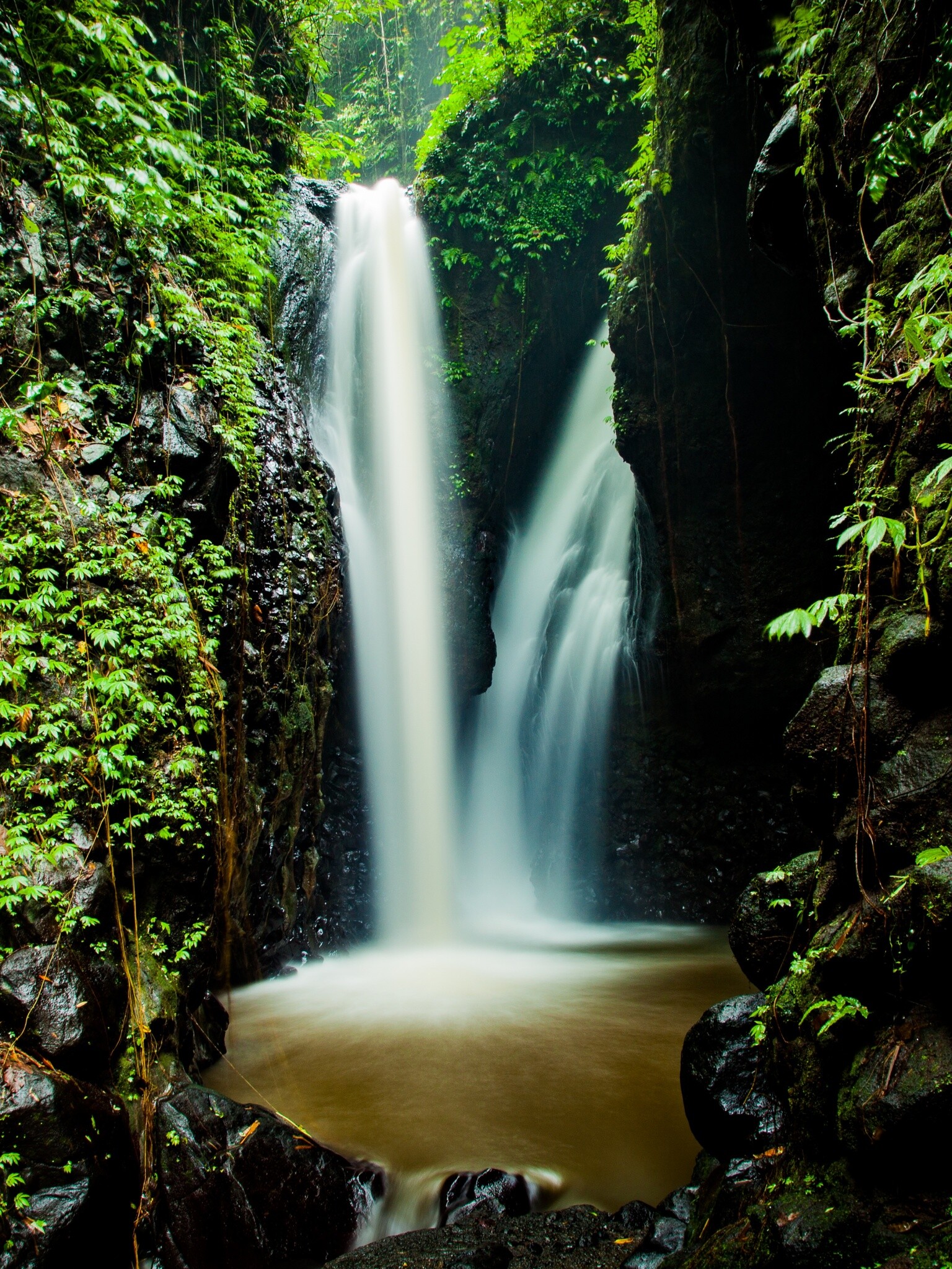 Waterfall: Forest, Rocks, Nature, Spring, Creek, Wilderness. 1540x2050 HD Wallpaper.