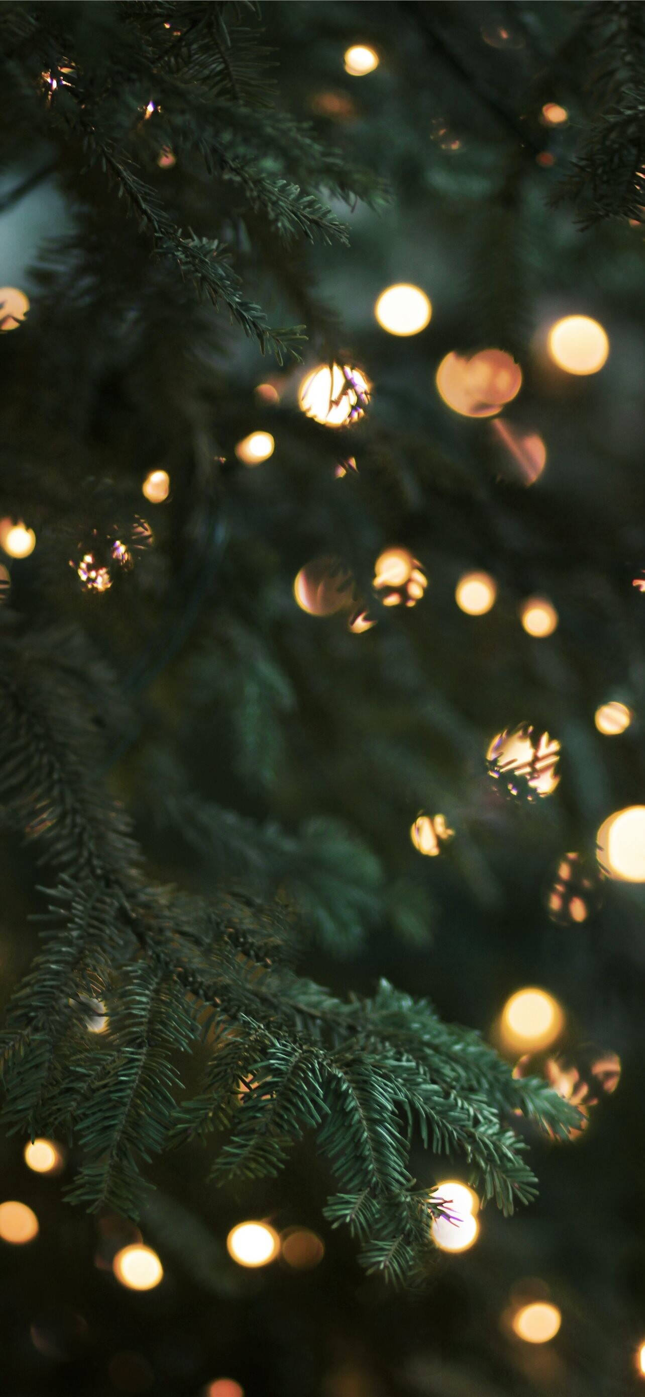 Gold Lights: A natural Christmas decor with pine branches, Christmas blurred decorative holiday lights. 1290x2780 HD Wallpaper.