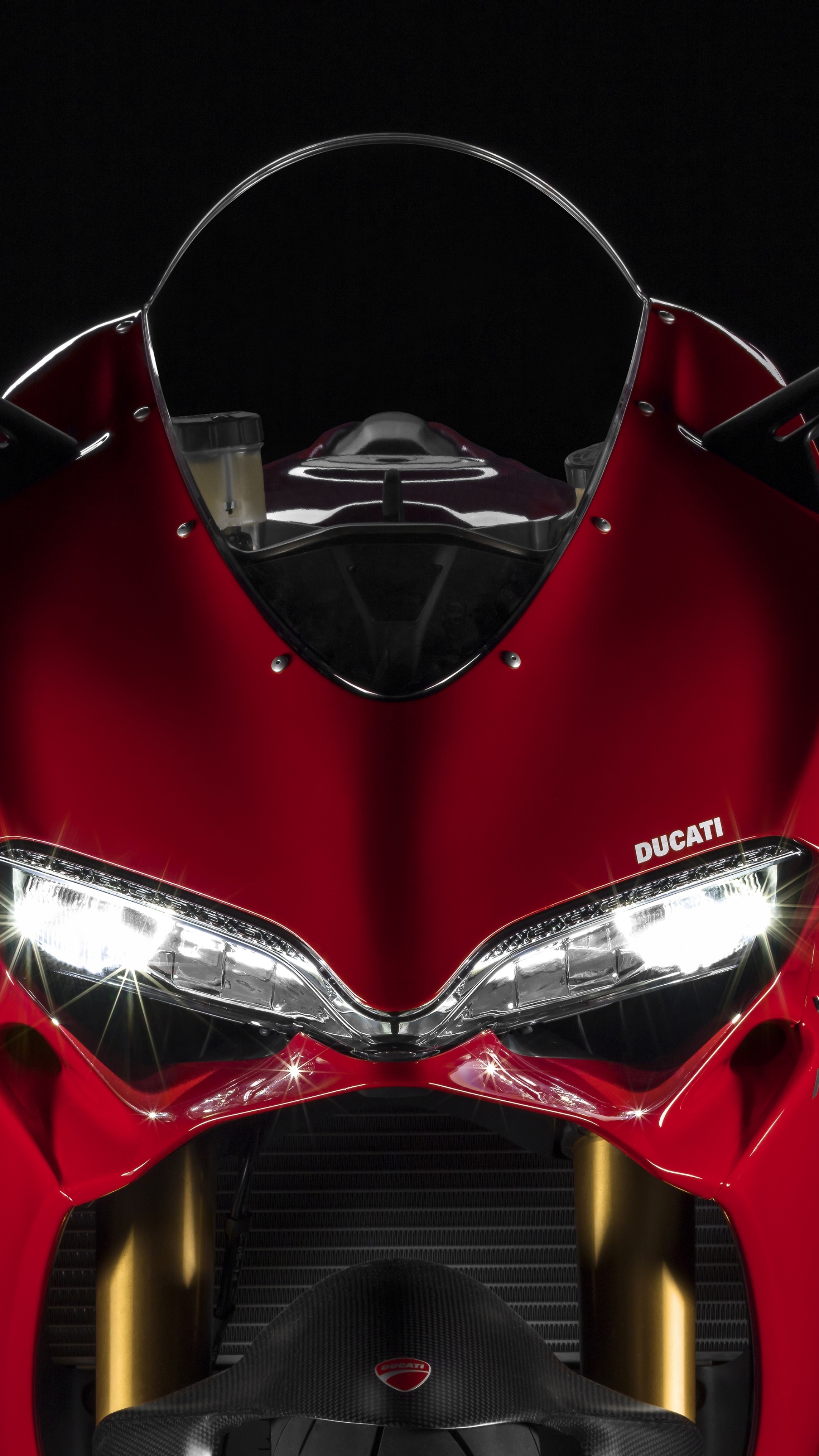 Superbike: The Ducati 1299 Panigale, A motorcycle designed and optimized for speed, acceleration, braking, and cornering. 2160x3840 4K Wallpaper.