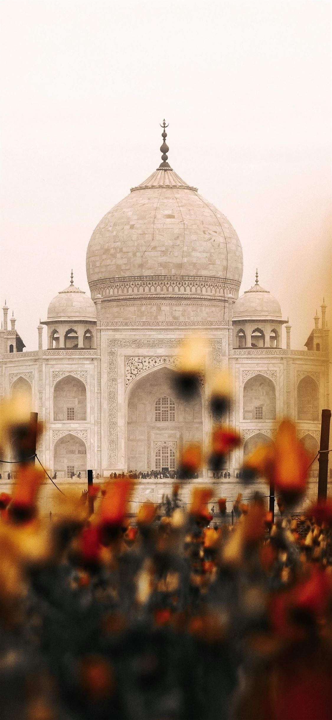 Taj Mahal, Majestic marble marvel, Agra's gem, Symbol of love, 1130x2440 HD Phone