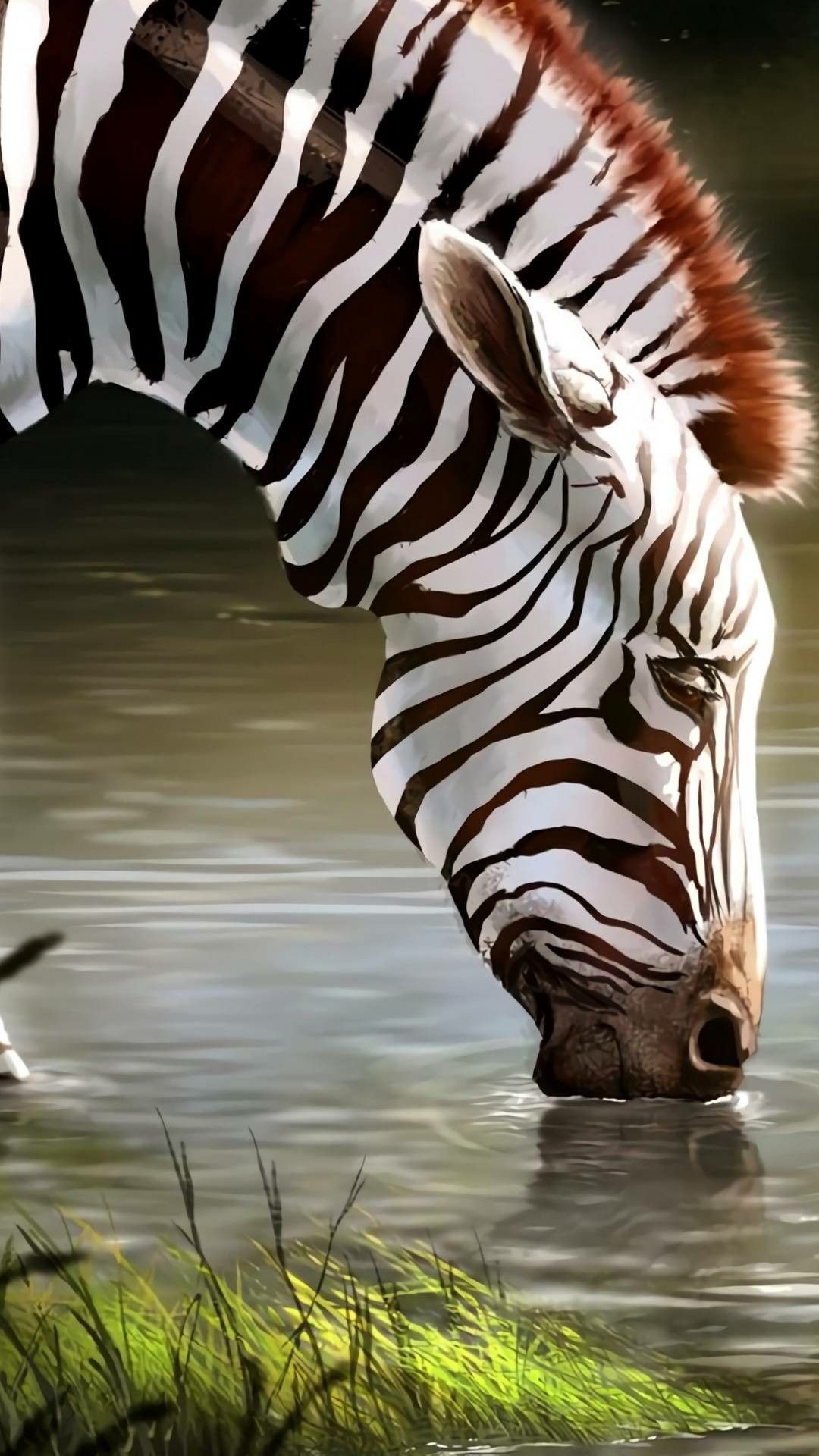 Awesome zebra wallpaper, Wild African animals, Captivating zebra imagery, Stunning animal photography, 1080x1920 Full HD Phone