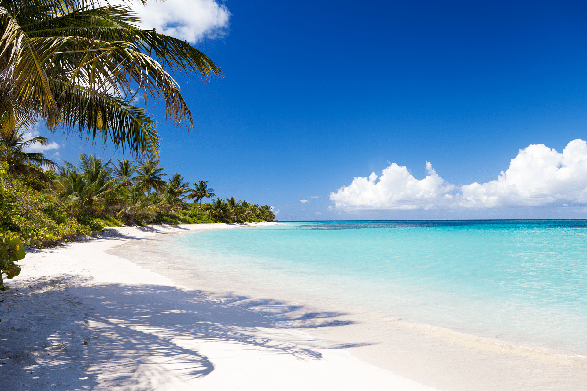Culebra island, Puerto Rico, Caribbean paradise, 1920x1280 HD Desktop