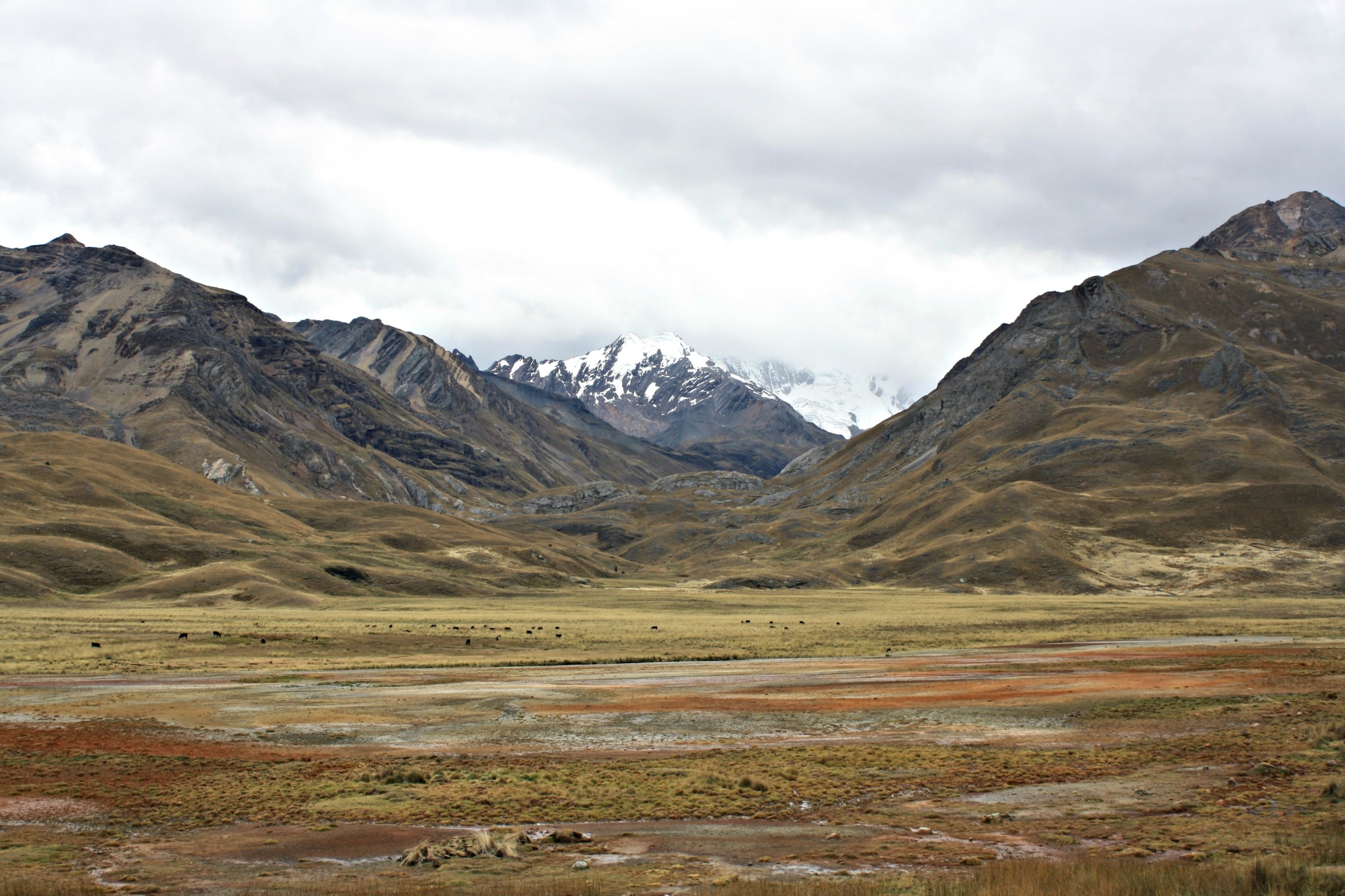 Cordillera Blanca's beauty, High-altitude playground, Peruvian landscapes, Lush scenery, 2220x1480 HD Desktop
