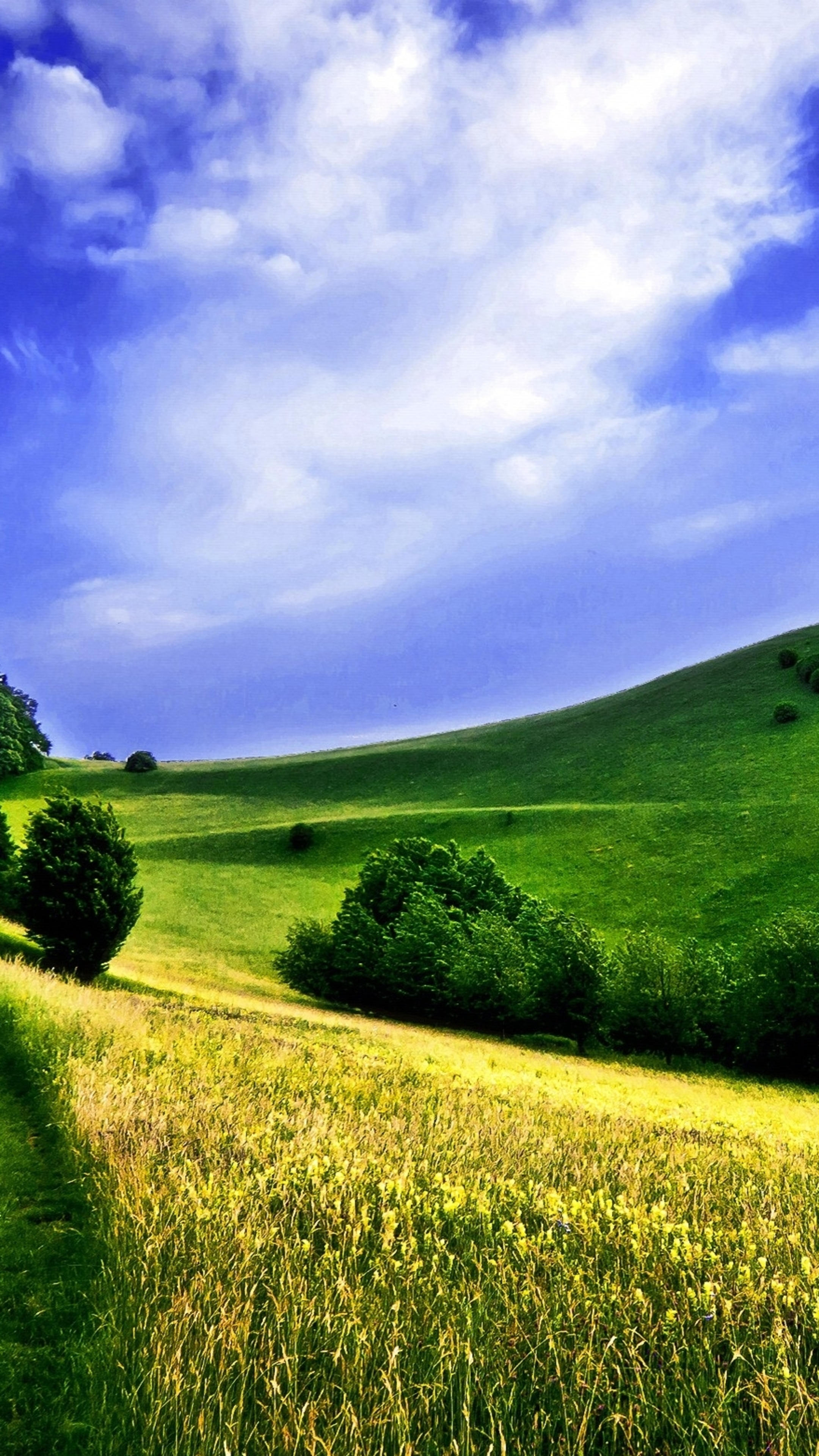 Farm: Land suitable for agricultural purposes. 2160x3840 4K Background.