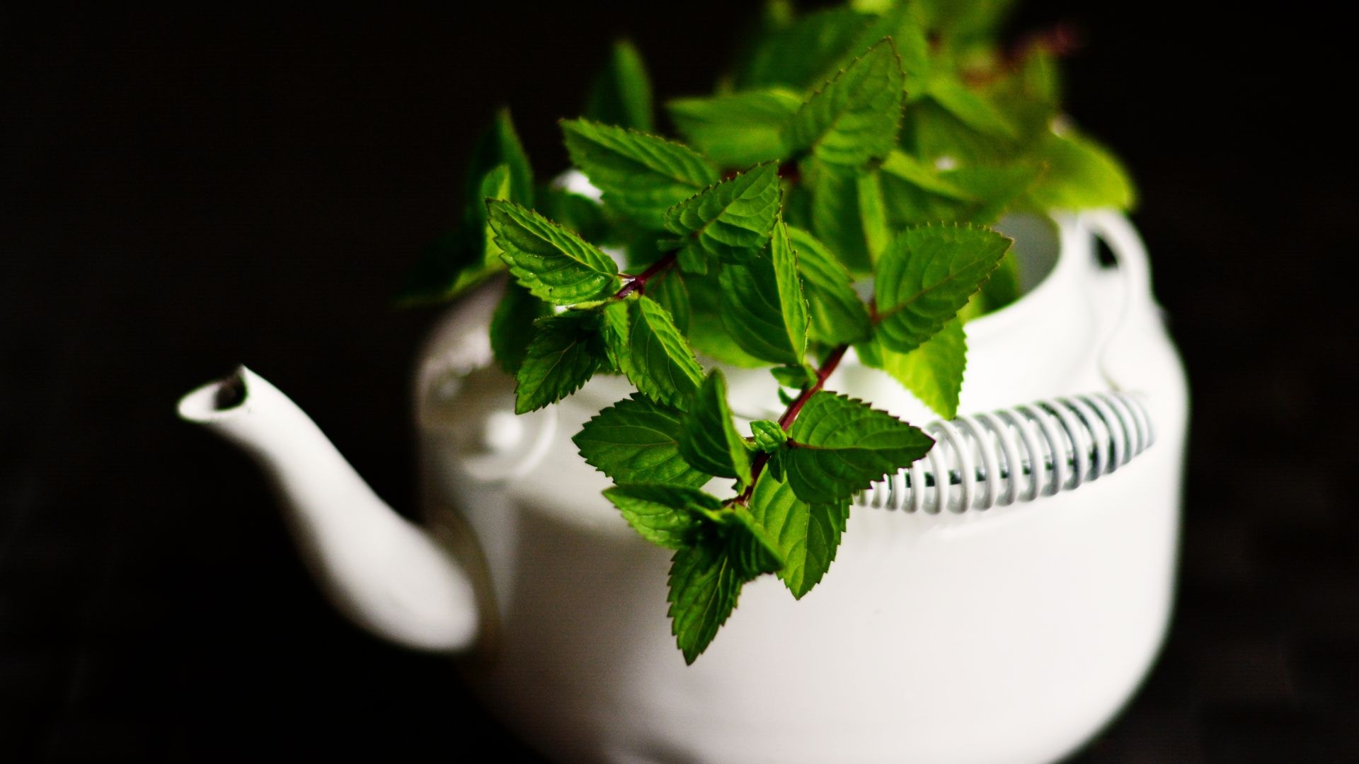 Green mint leaves, Tea pot image, Desktop background, Refreshing beverage, 1920x1080 Full HD Desktop