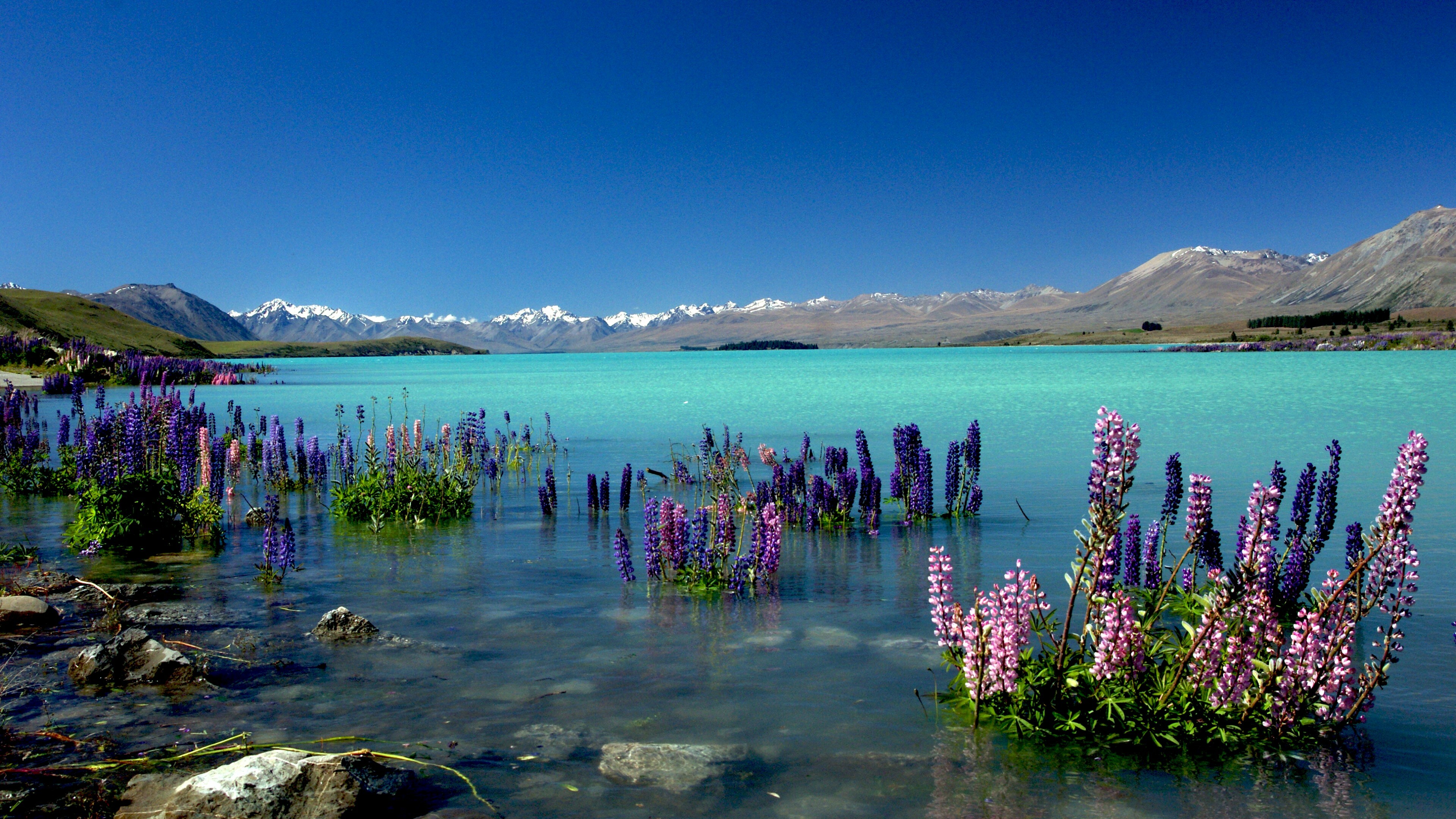 New Zealand: Lake Tekapo, Nature, The indigenous Maori are the largest minority in the country. 3840x2160 4K Wallpaper.