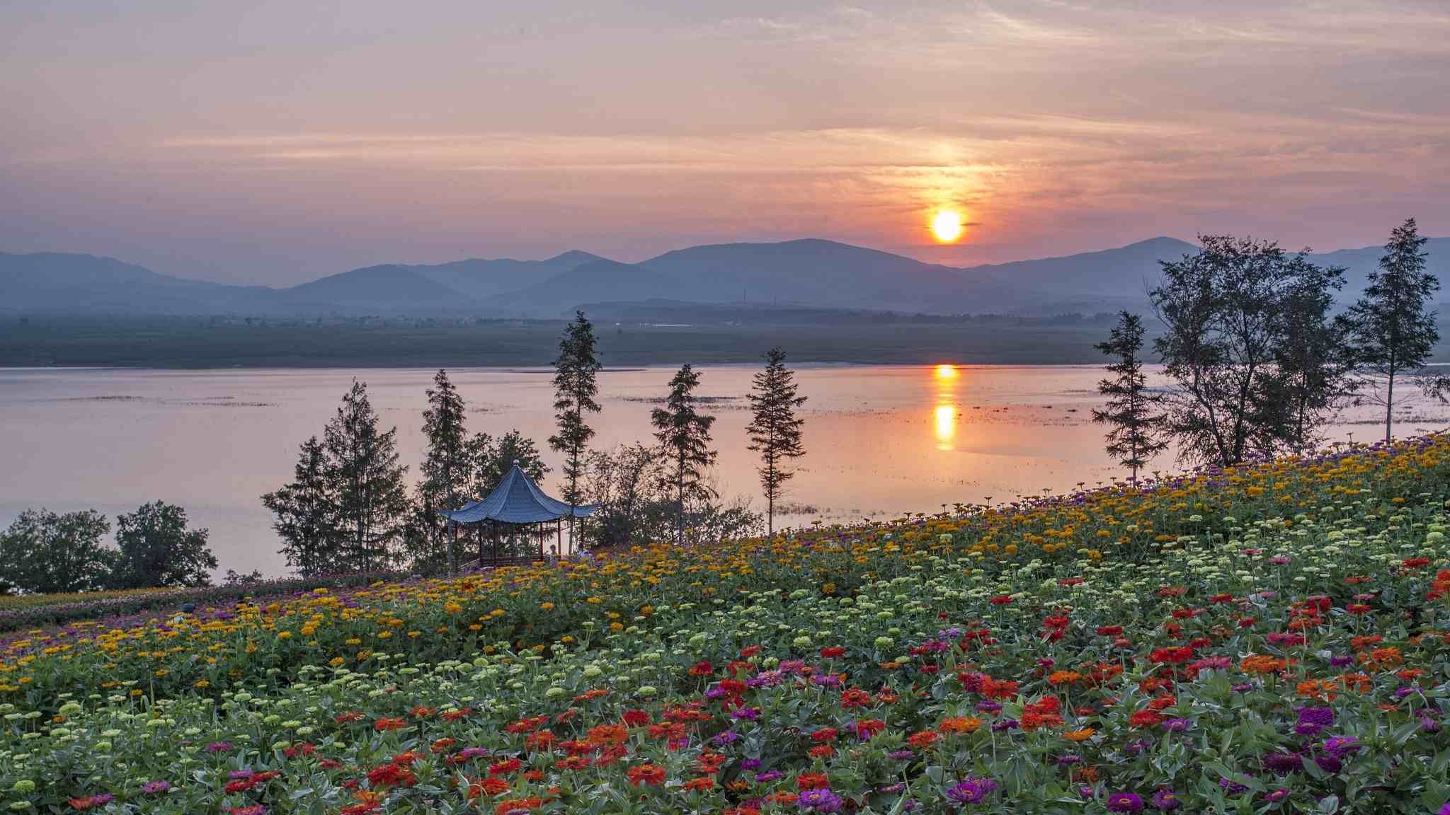Sea of Flowers, Northeast China, Songhua Lake, 2050x1160 HD Desktop