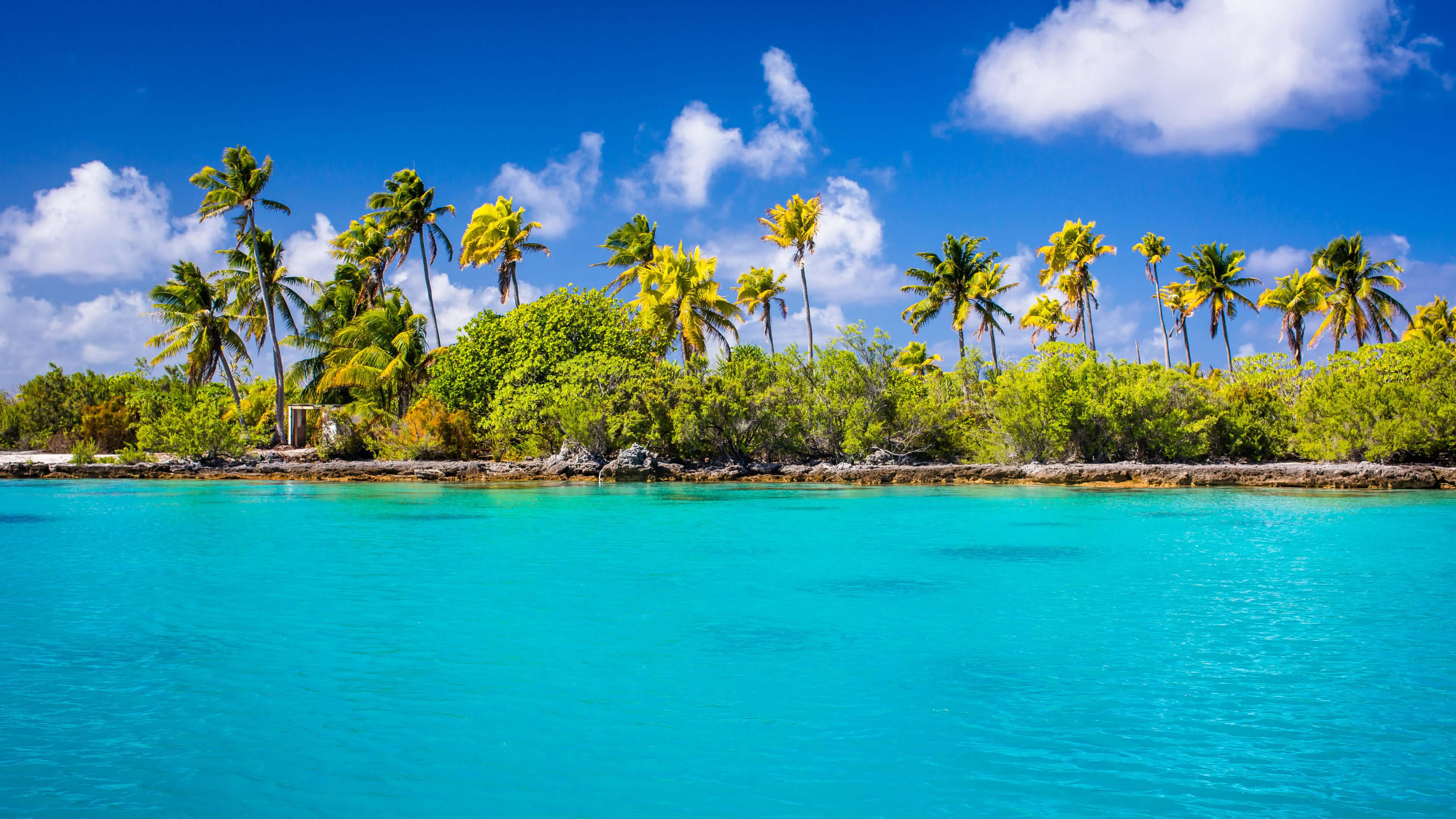Indian Ocean, Tropical paradise, Exotic marine life, Mesmerizing seascapes, 3840x2160 4K Desktop