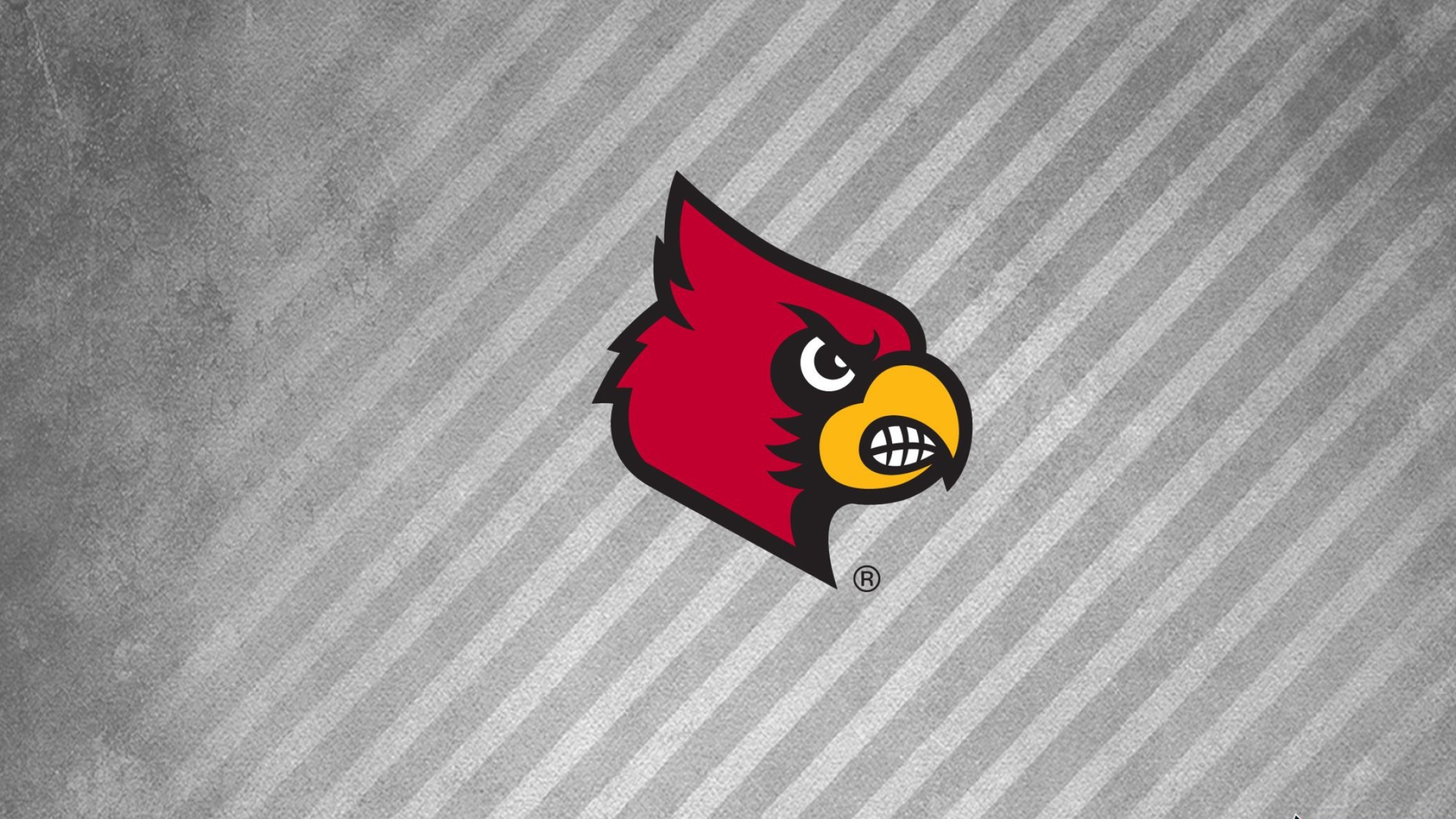 Louisville Cardinals, Dynamic wallpapers, Team pride, Sports fandom, 2560x1440 HD Desktop