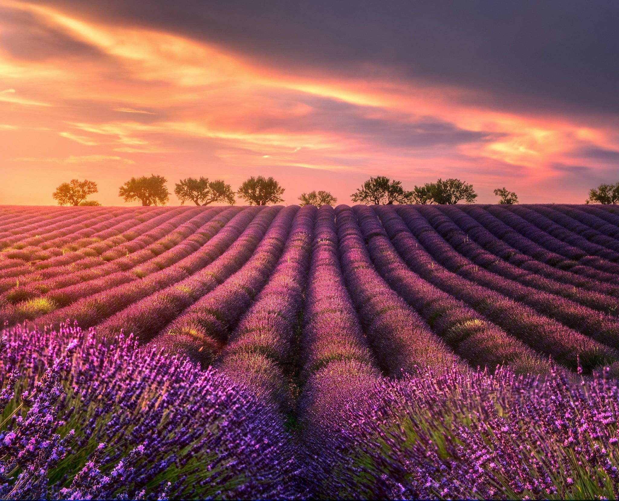 Lavender fields, Clouds, 4K wallpapers, 2050x1660 HD Desktop