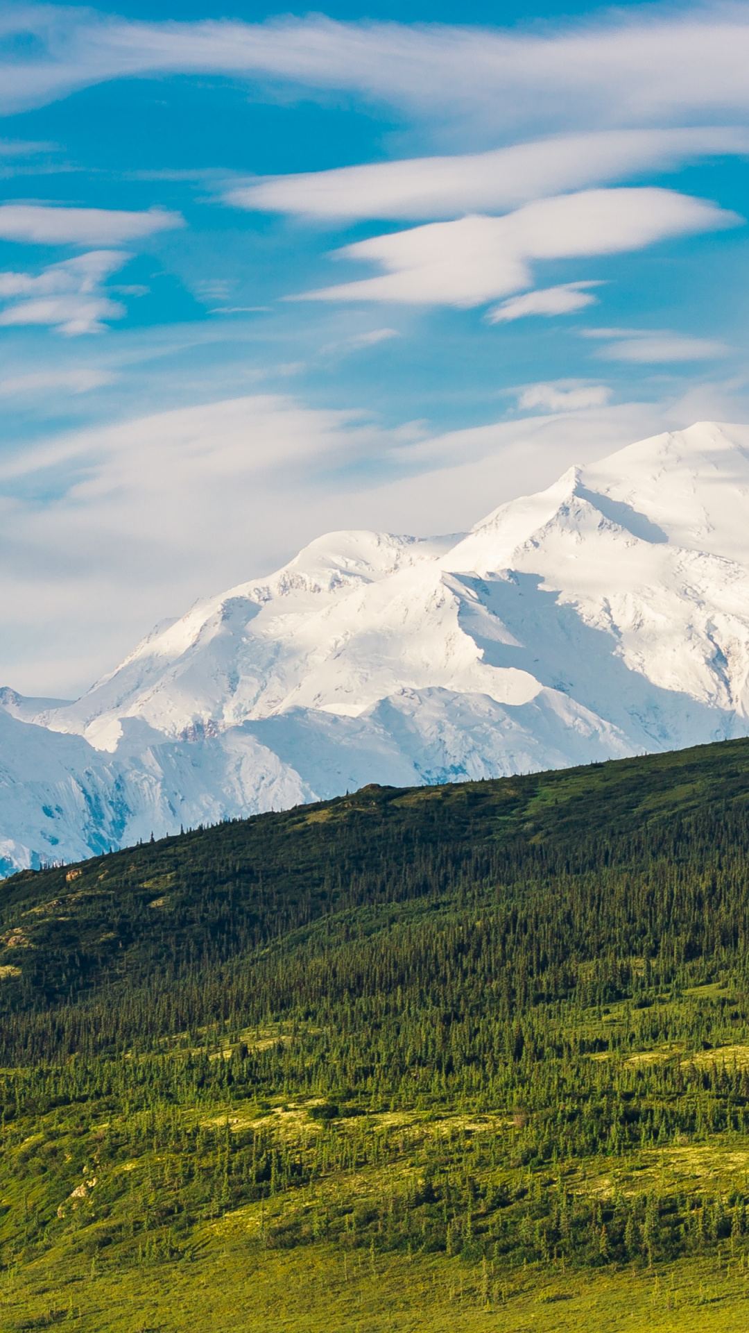 Denali National Park and Preserve, Alaska Range, United States, Landscape, 1080x1920 Full HD Phone