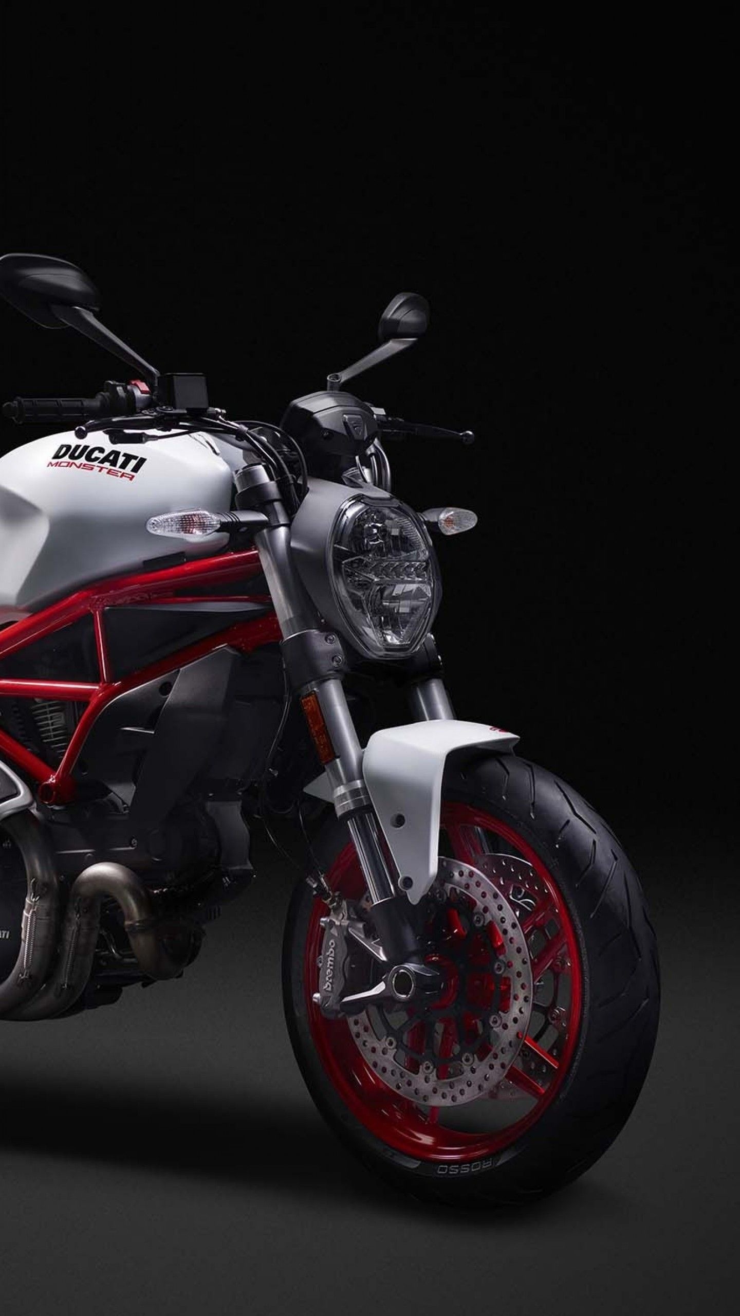 Ducati Monster, Rider's paradise, Thrilling adrenaline, Iconic motorcycle, 1440x2560 HD Phone