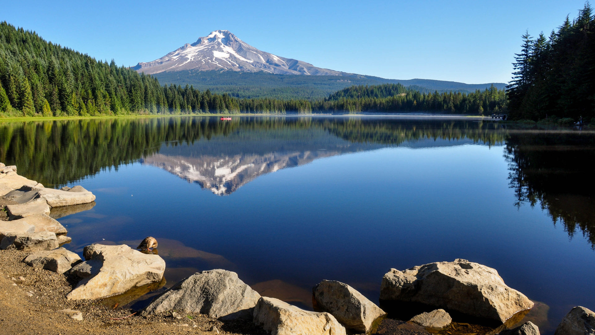 Mount Hood, Oregon, government camp, trillium lake, 1920x1080 Full HD Desktop