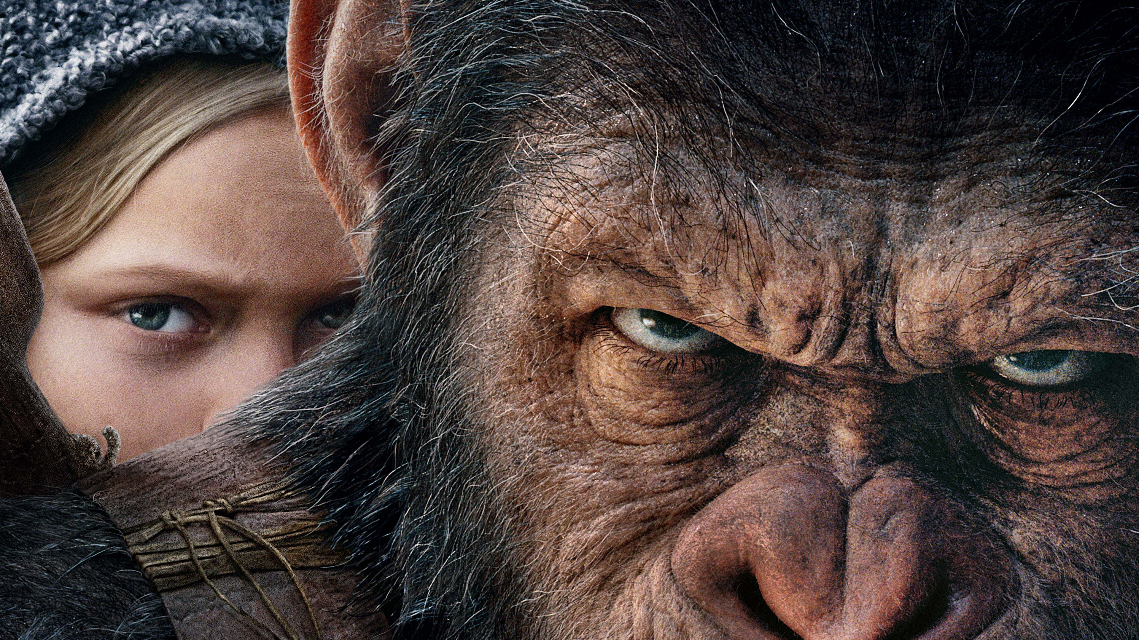 War for the Planet of the Apes, HD wallpapers, Ape revolution, 3840x2160 4K Desktop