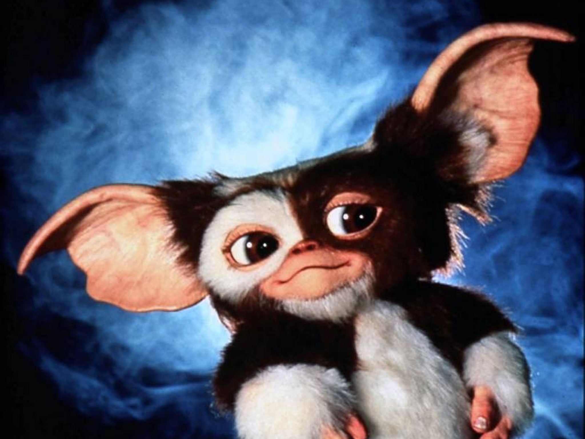 Gremlin: Giz, An adorable, very kind Mogwai who is part of Billy Peltzer’s life. 2050x1540 HD Wallpaper.