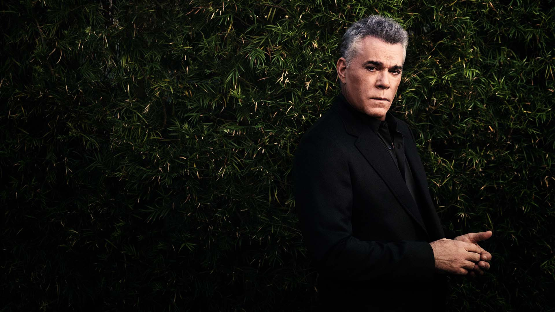 Ray Liotta: Starred in The Son of No One as Captain Marion Mathers in 2011. 1920x1080 Full HD Wallpaper.