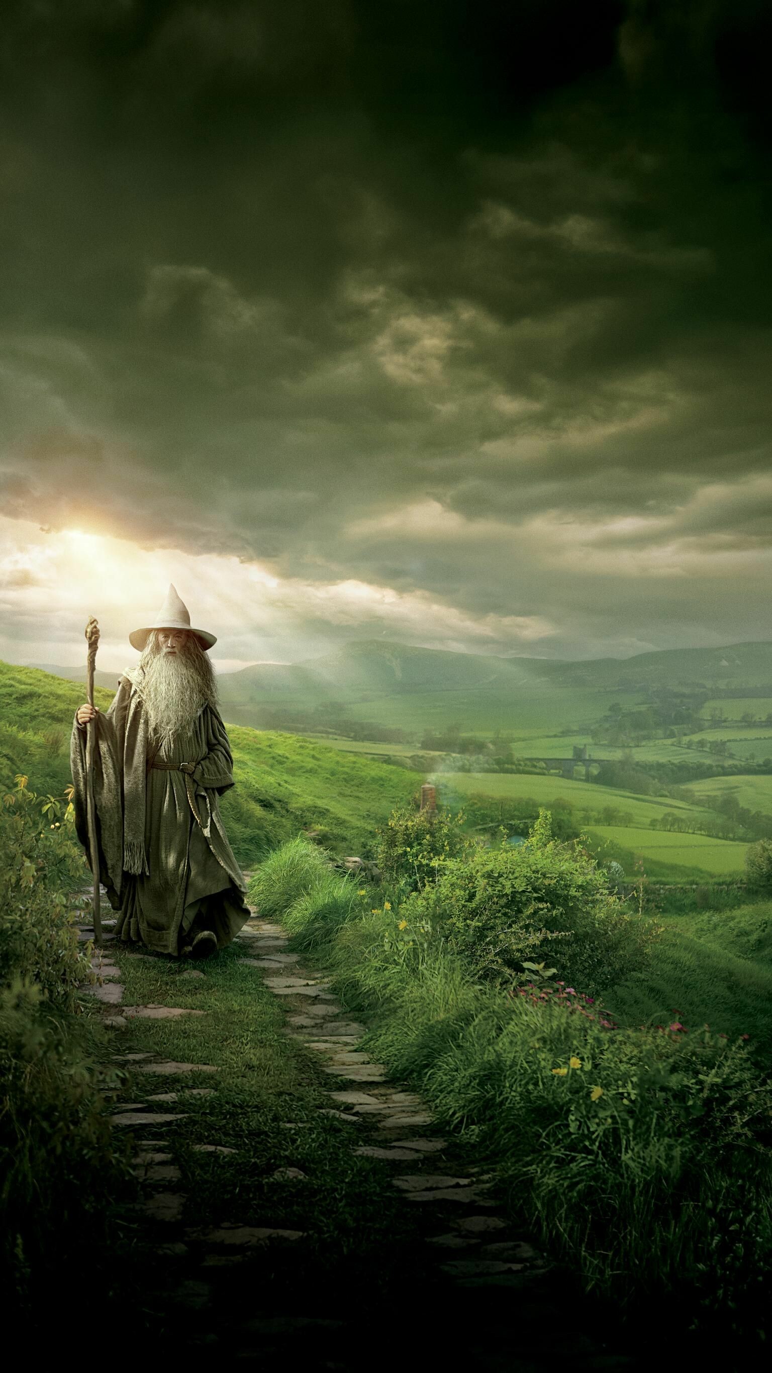 The Hobbit: Gandalf, A protagonist in J. R. R. Tolkien's novels, The Lord of the Ring. 1540x2740 HD Background.