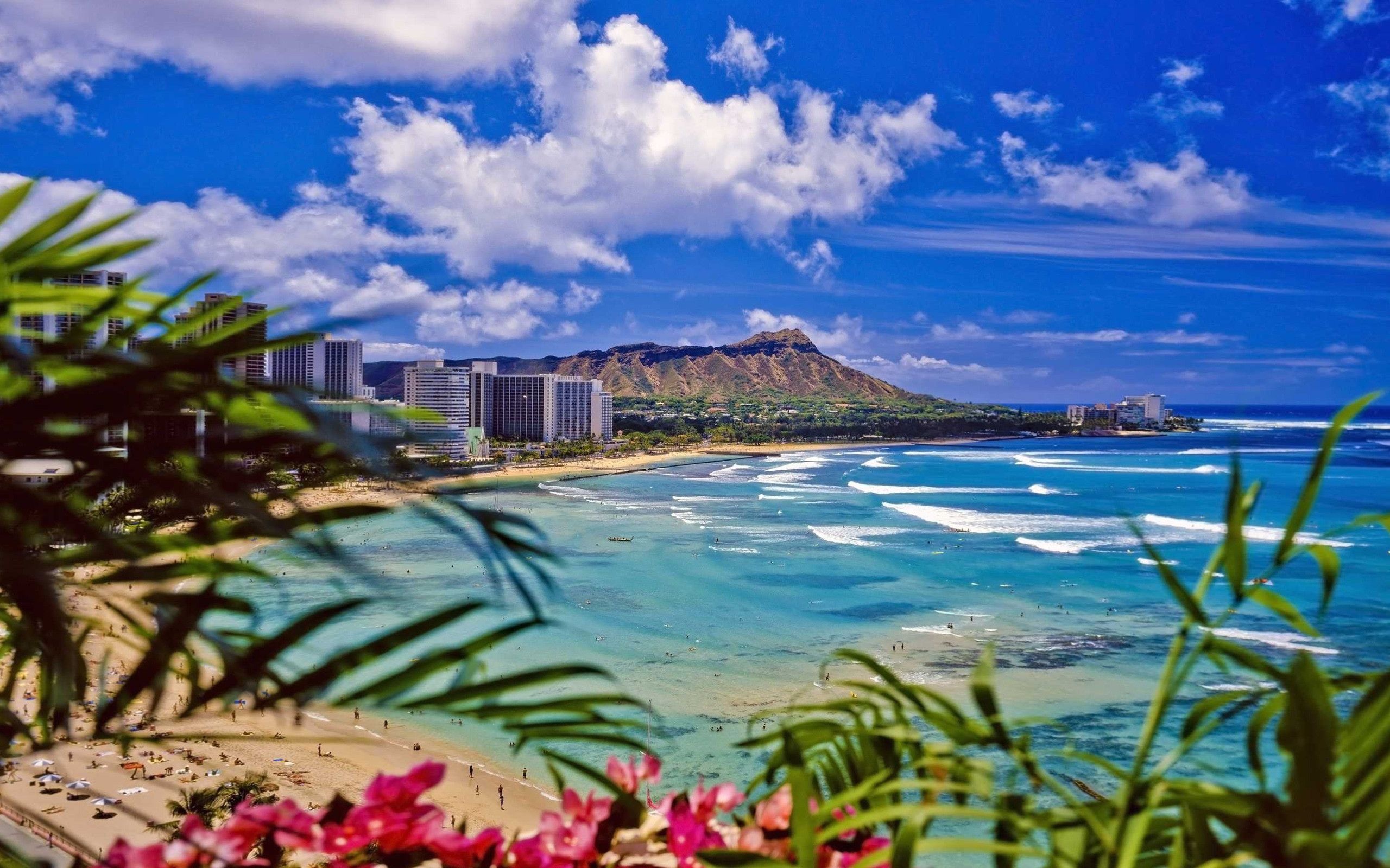 Honolulu: Oahu Hawaii wallpapers for free. 2560x1600 HD Wallpaper.