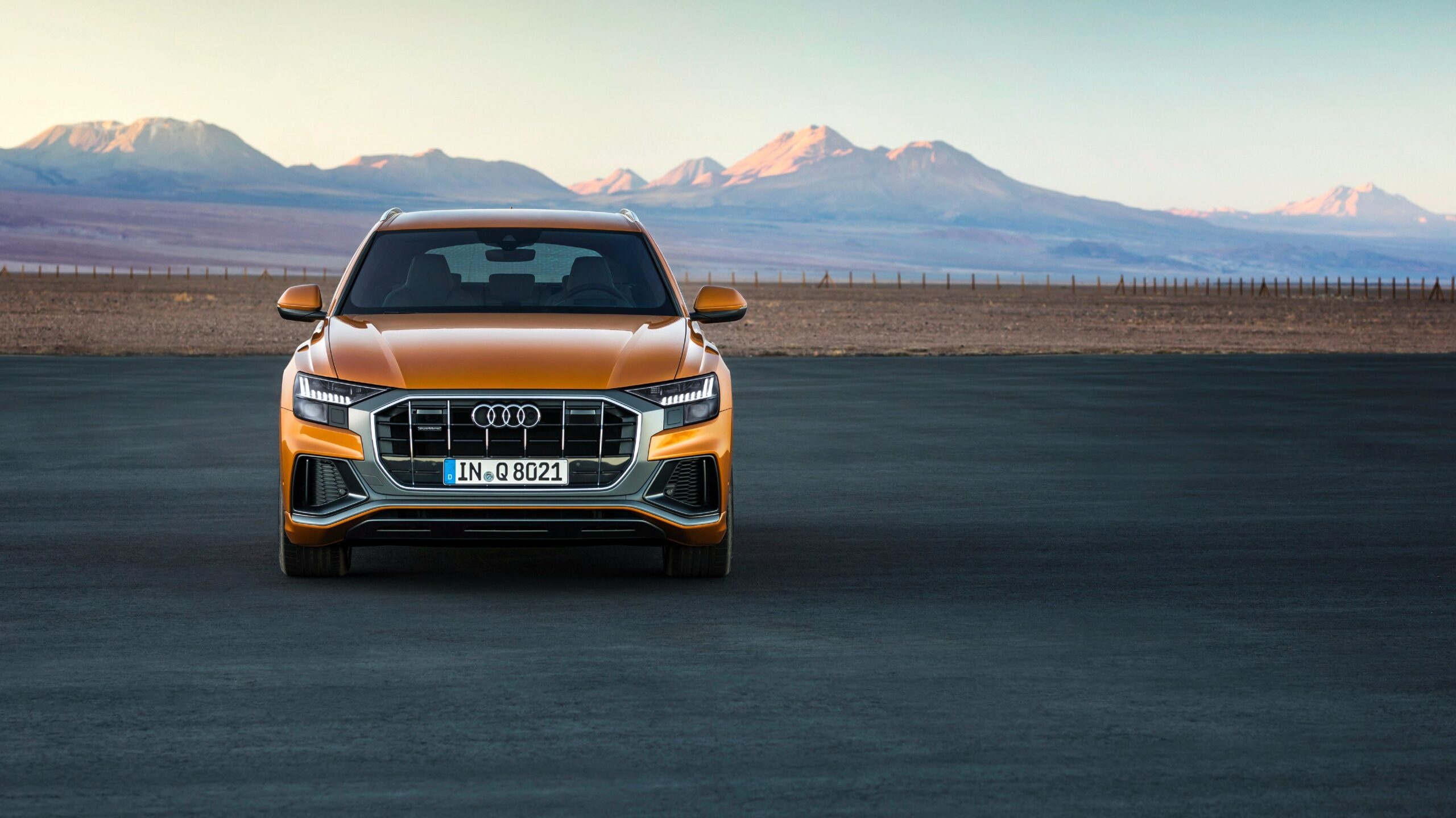 Audi Q8, Pickootech review, Powerful performance, Cutting-edge features, 2560x1440 HD Desktop