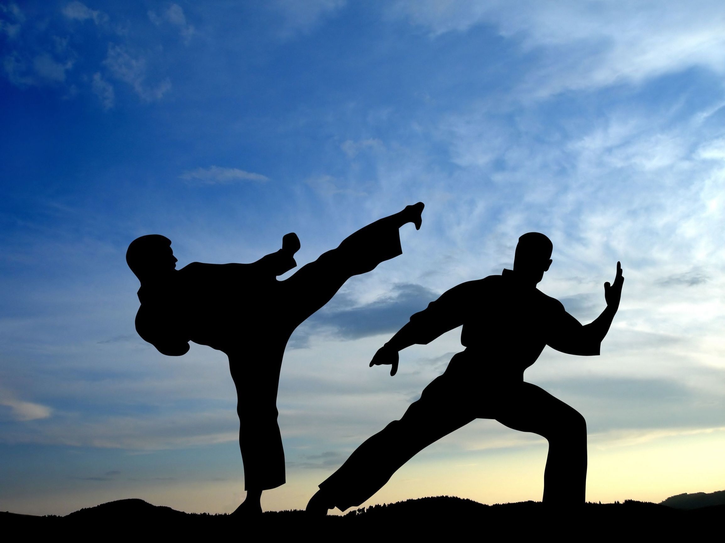 Karate: Kata training of a striking art using punching, kicking, knee strikes, elbow strikes and open-hand techniques. 2310x1740 HD Wallpaper.