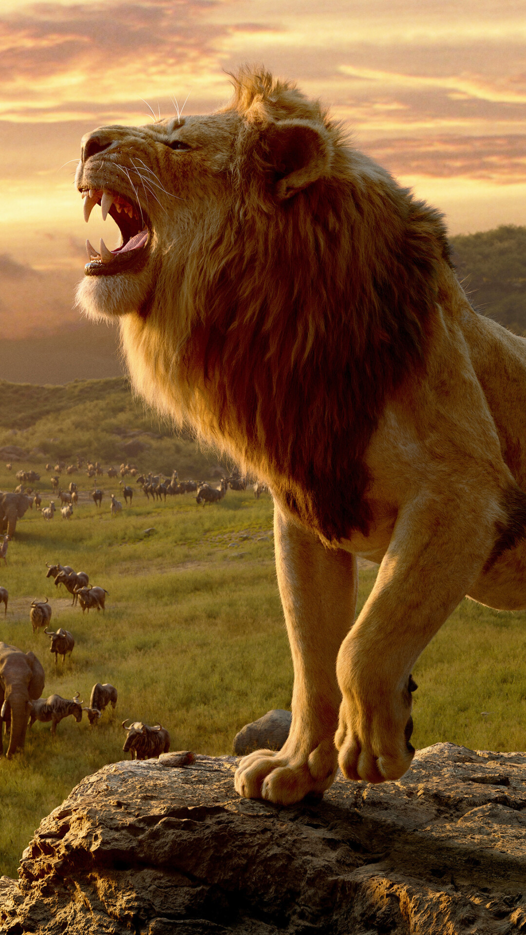 Lion: Lions use their roar as one form of communication. 1080x1920 Full HD Background.