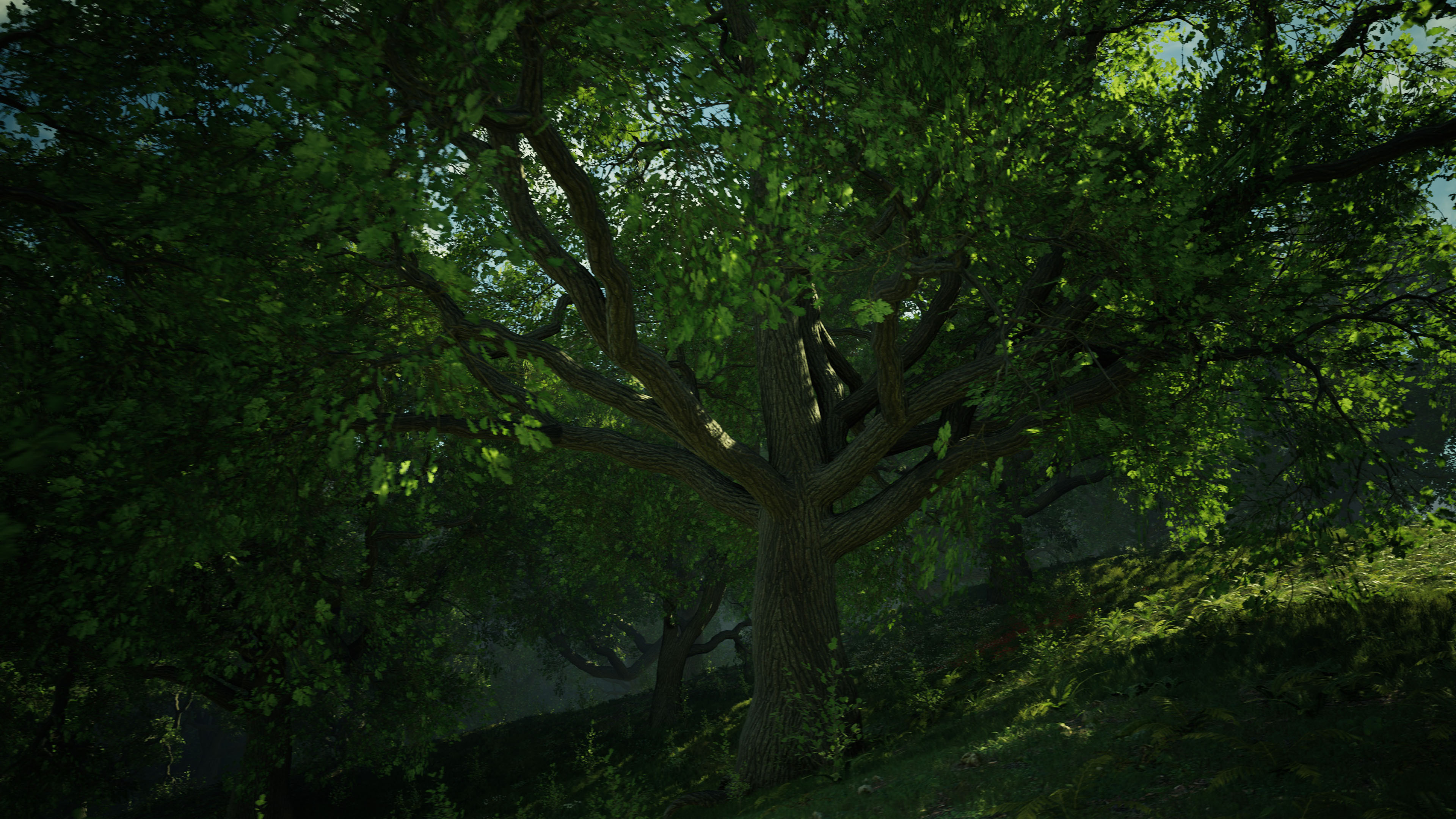 Unreal Engine 4 art, Wild oak trees, Artistic marvel, Captivating visuals, 3840x2160 4K Desktop