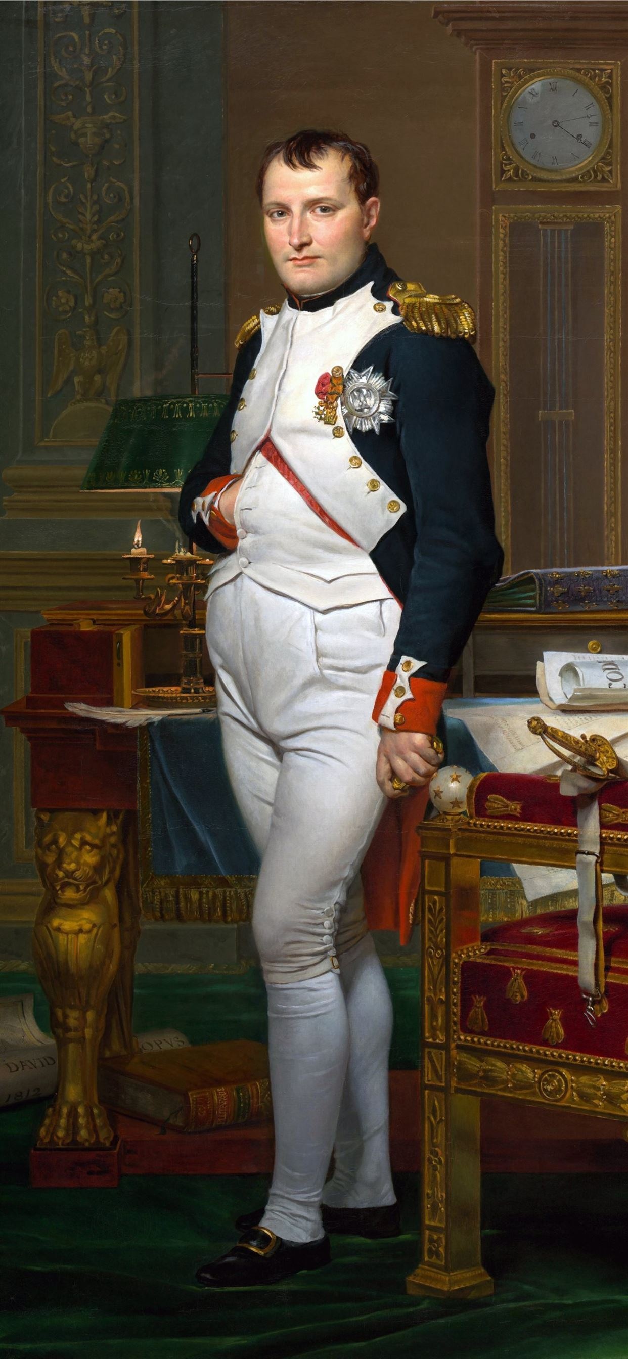 Napoleon Bonaparte, iPhone wallpapers, Free download, Napoleon wallpapers, 1250x2690 HD Handy