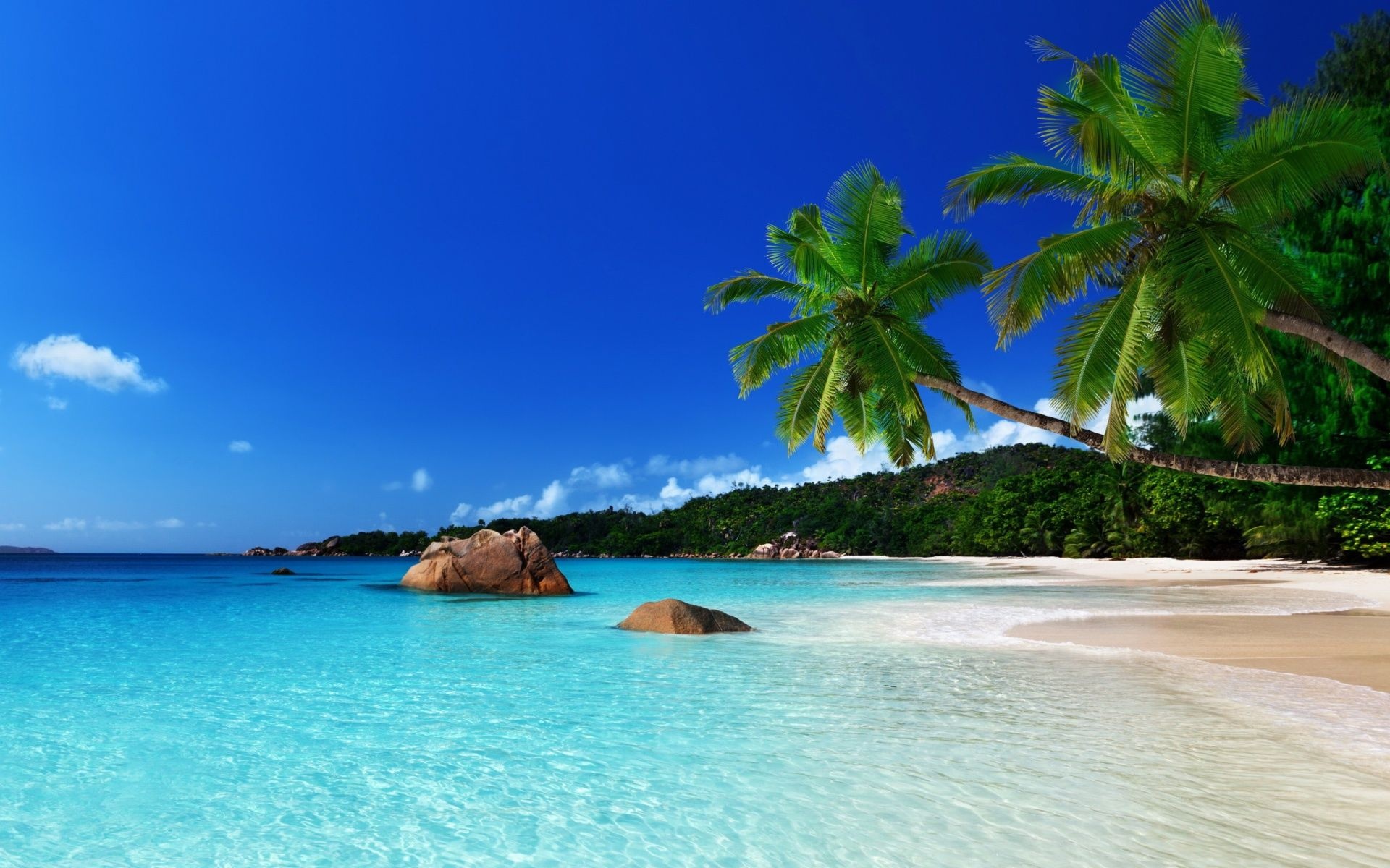 Caribbean Islands: Jamaica, The Greater Antilles, The West Indies, Beach. 1920x1200 HD Background.