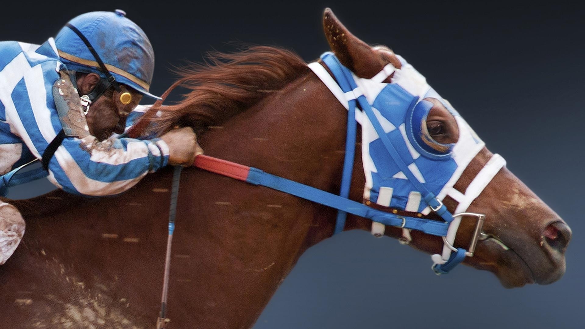 Secretariat, HD wallpaper, Background image, Race horse, 1920x1080 Full HD Desktop