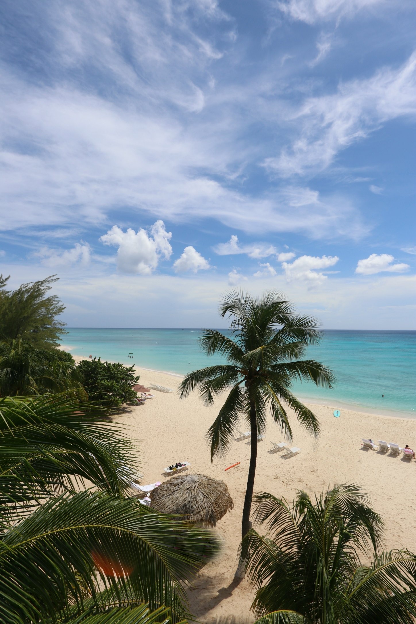 Cayman Islands, Travels, Kid-friendly vacation guide, 1450x2180 HD Handy