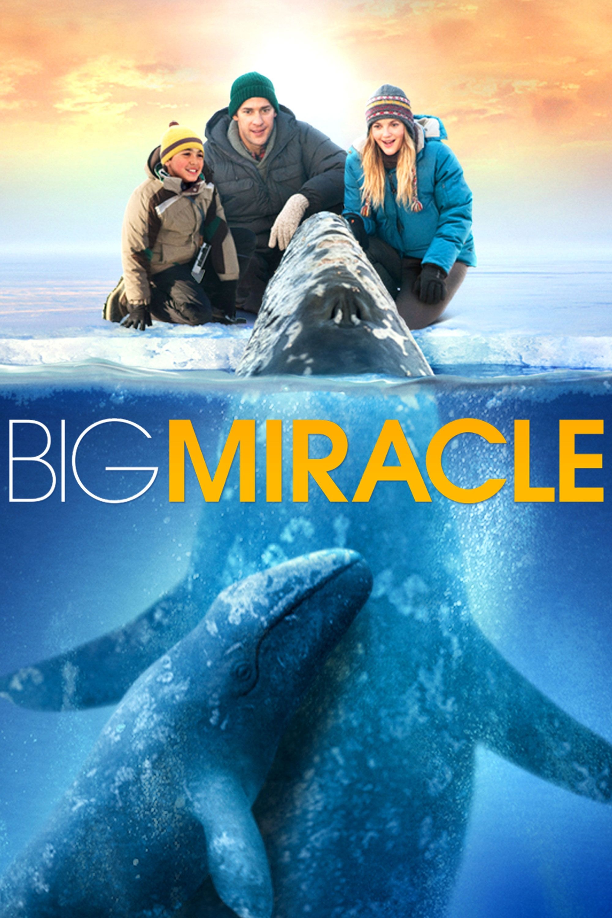 Big Miracle: The film is based on Tom Rose's 1989 book Freeing the Whales. 2000x3000 HD Background.