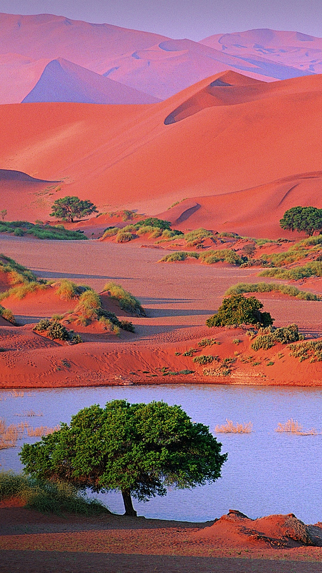Namib desert, Sand dunes, Scenic vistas, Windows 10 spotlight, 1080x1920 Full HD Phone