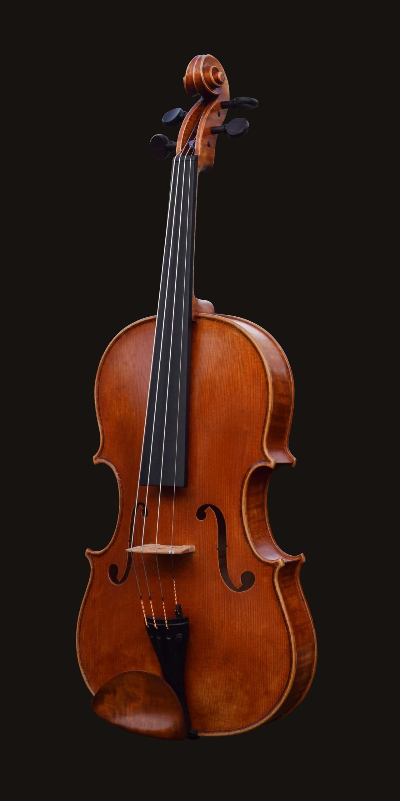 Viola: William Castle, Violin Master, Est. 1985, Violin Family. 1280x2560 HD Wallpaper.