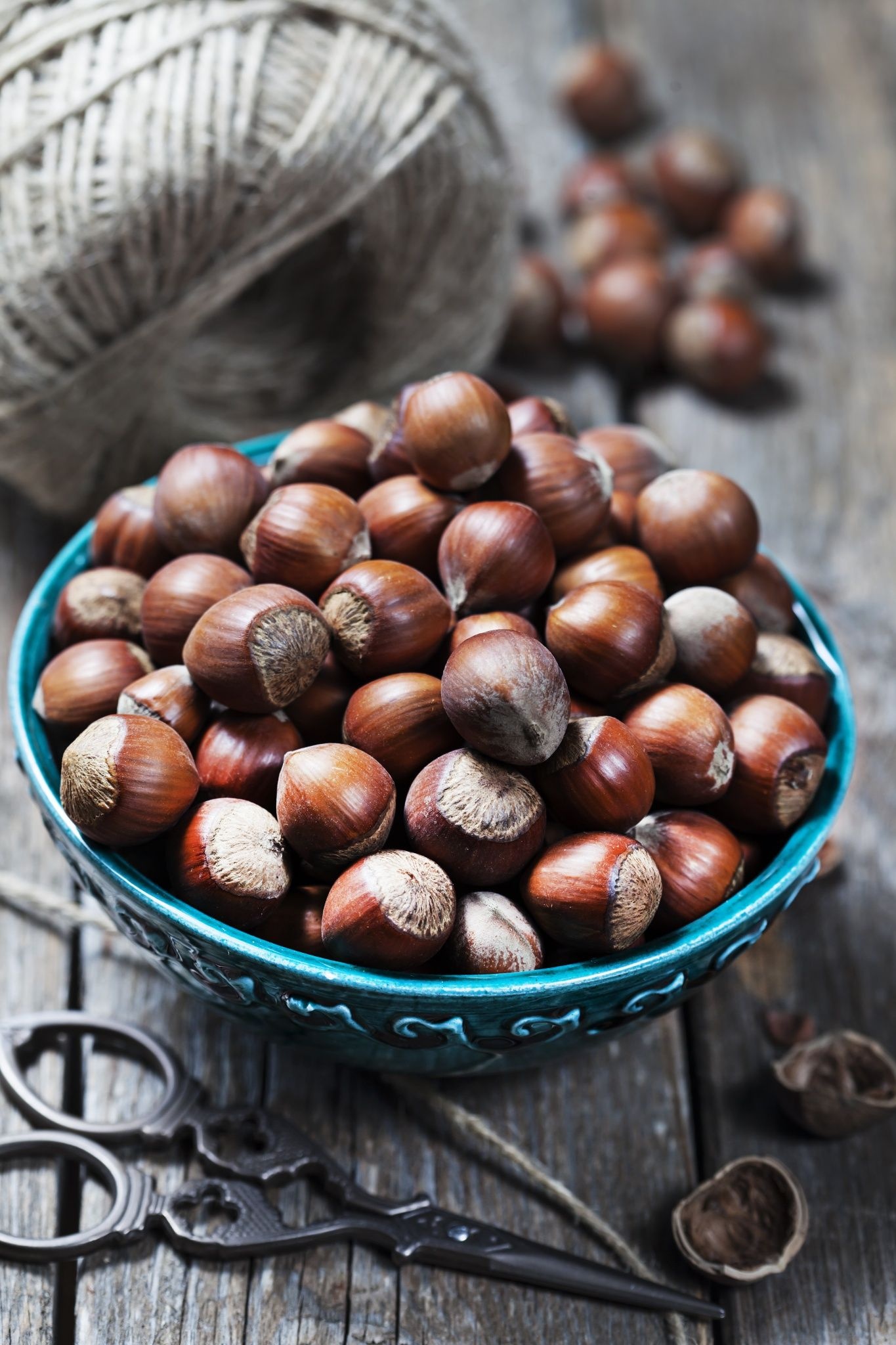 Hazelnuts: Food, Exceptionally rich in folate, and an excellent source of vitamin E. 1370x2050 HD Wallpaper.