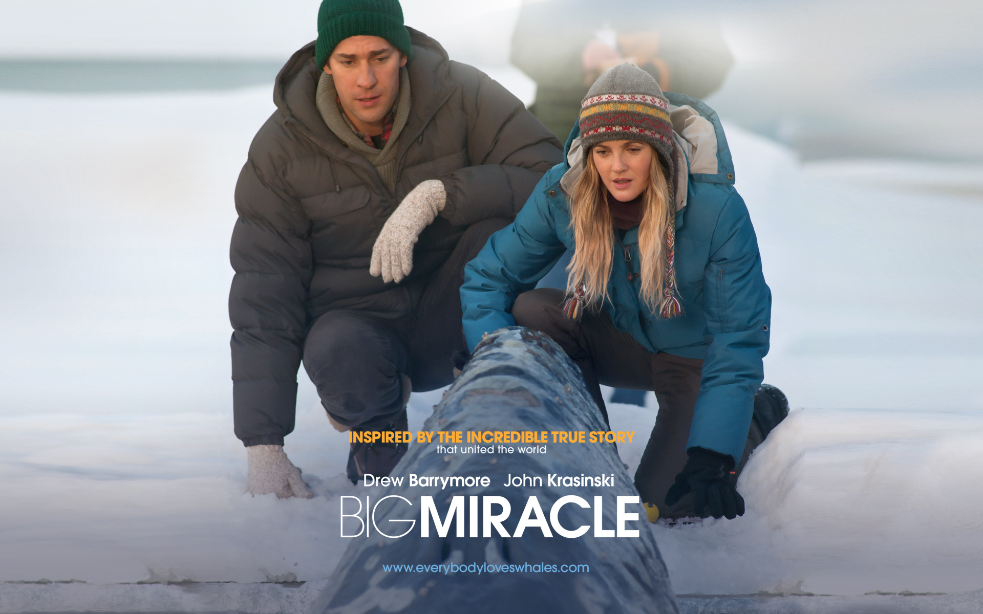 Big Miracle: The film stars Drew Barrymore and John Krasinski, Whales. 1920x1200 HD Wallpaper.