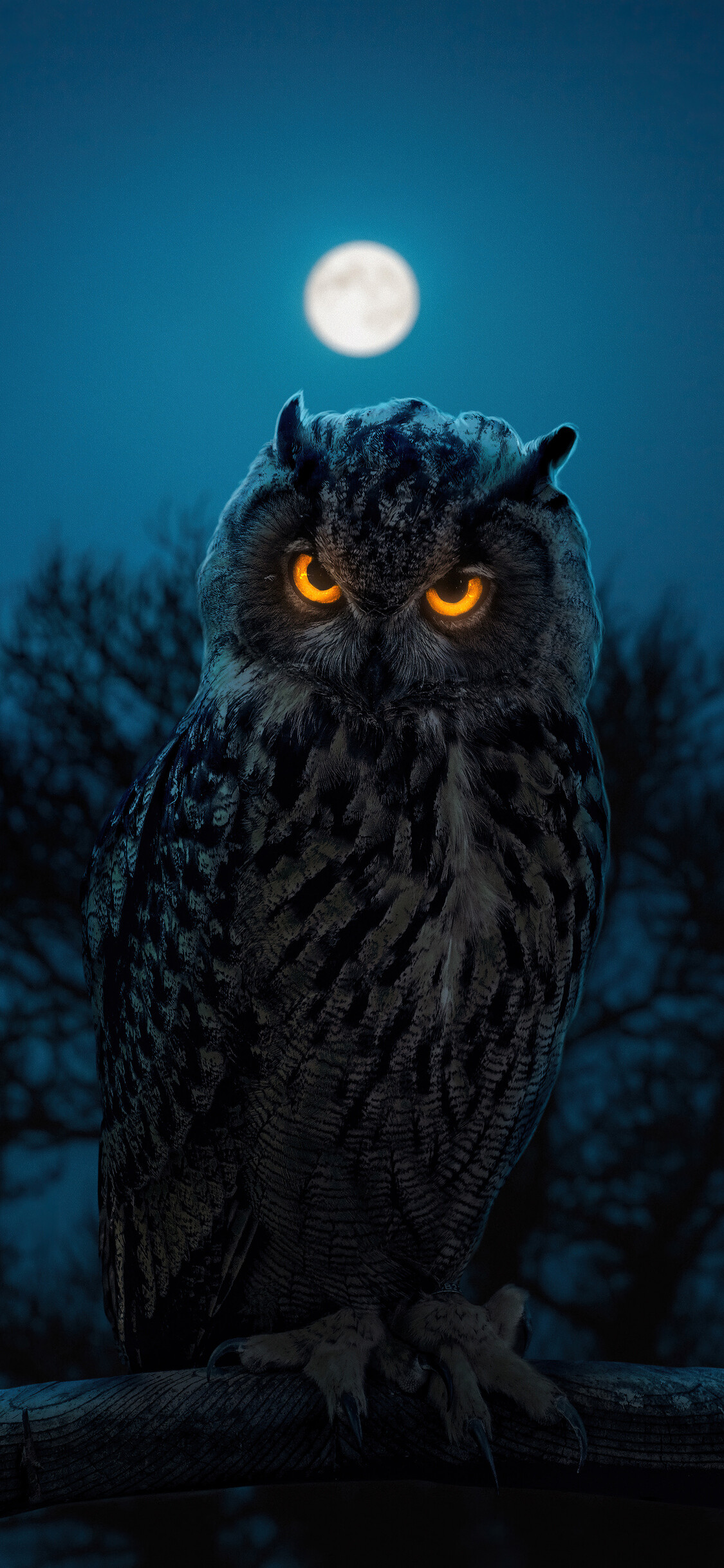 Owl: The coloration of the owl's plumage plays a key role in its ability to sit still and blend into the environment, making it nearly invisible to prey. 1130x2440 HD Background.