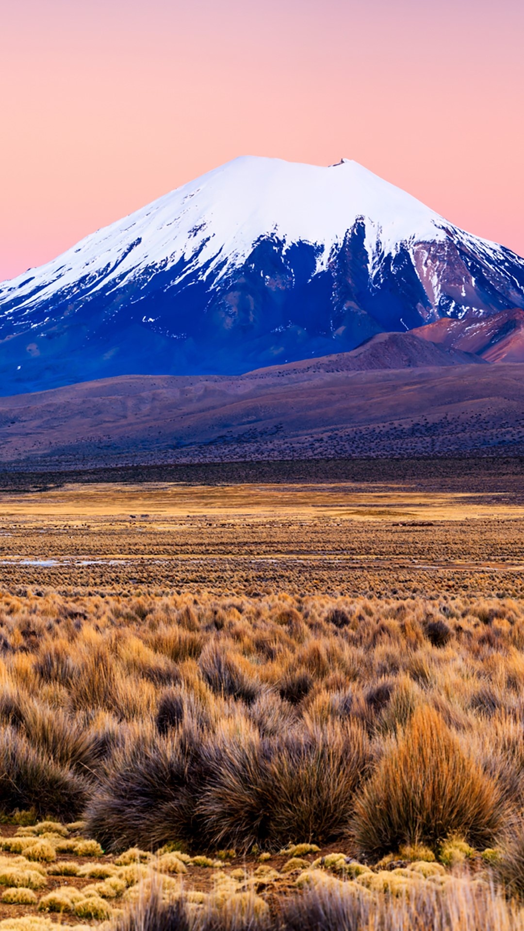 Bolivia, Sunrise, Parinacota Volcano, National Park, 1080x1920 Full HD Phone