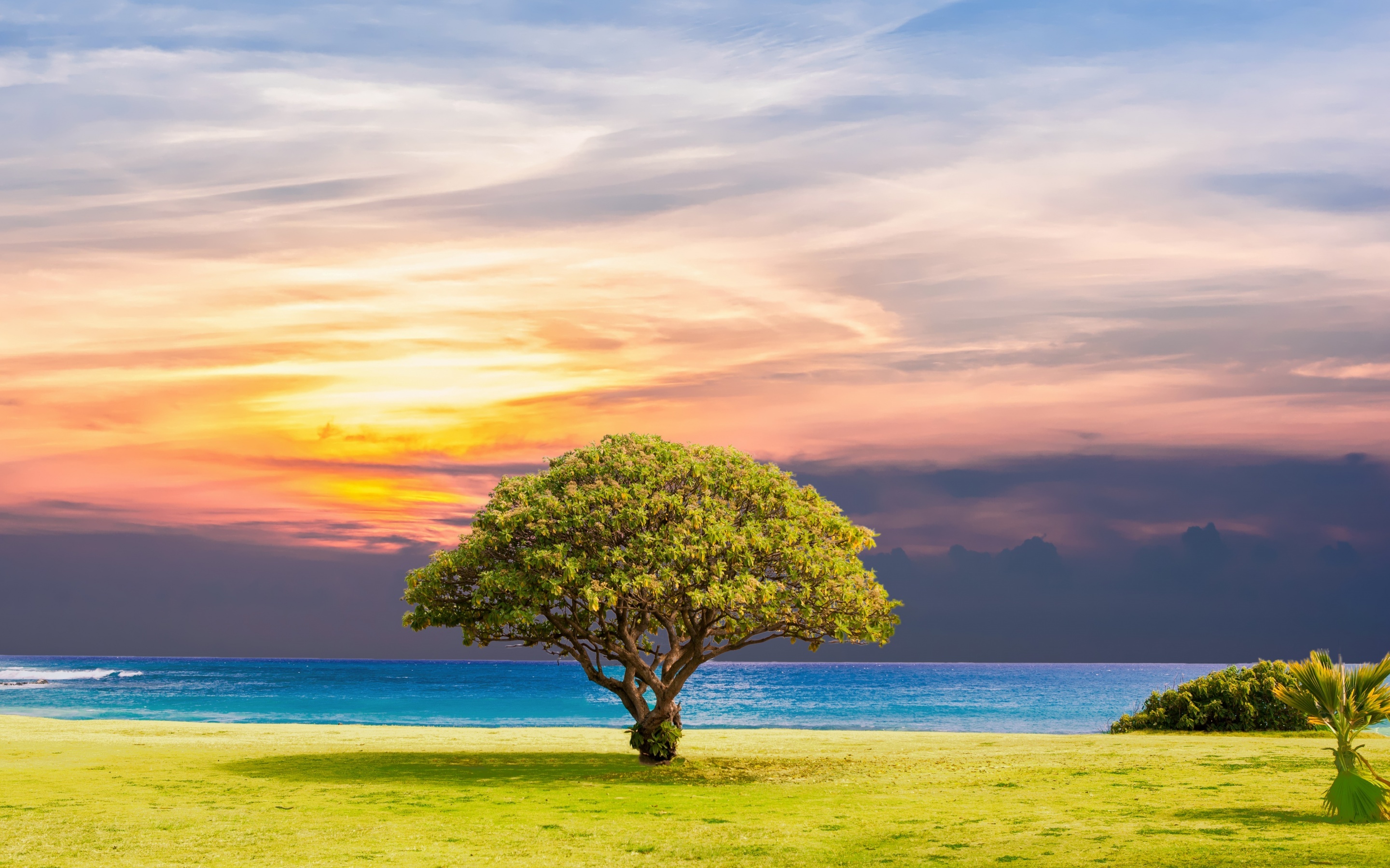Grassland: Green tree, Ocean view, Summer, Sunset, Horizon, Nature, Atmosphere of Earth. 2880x1800 HD Wallpaper.