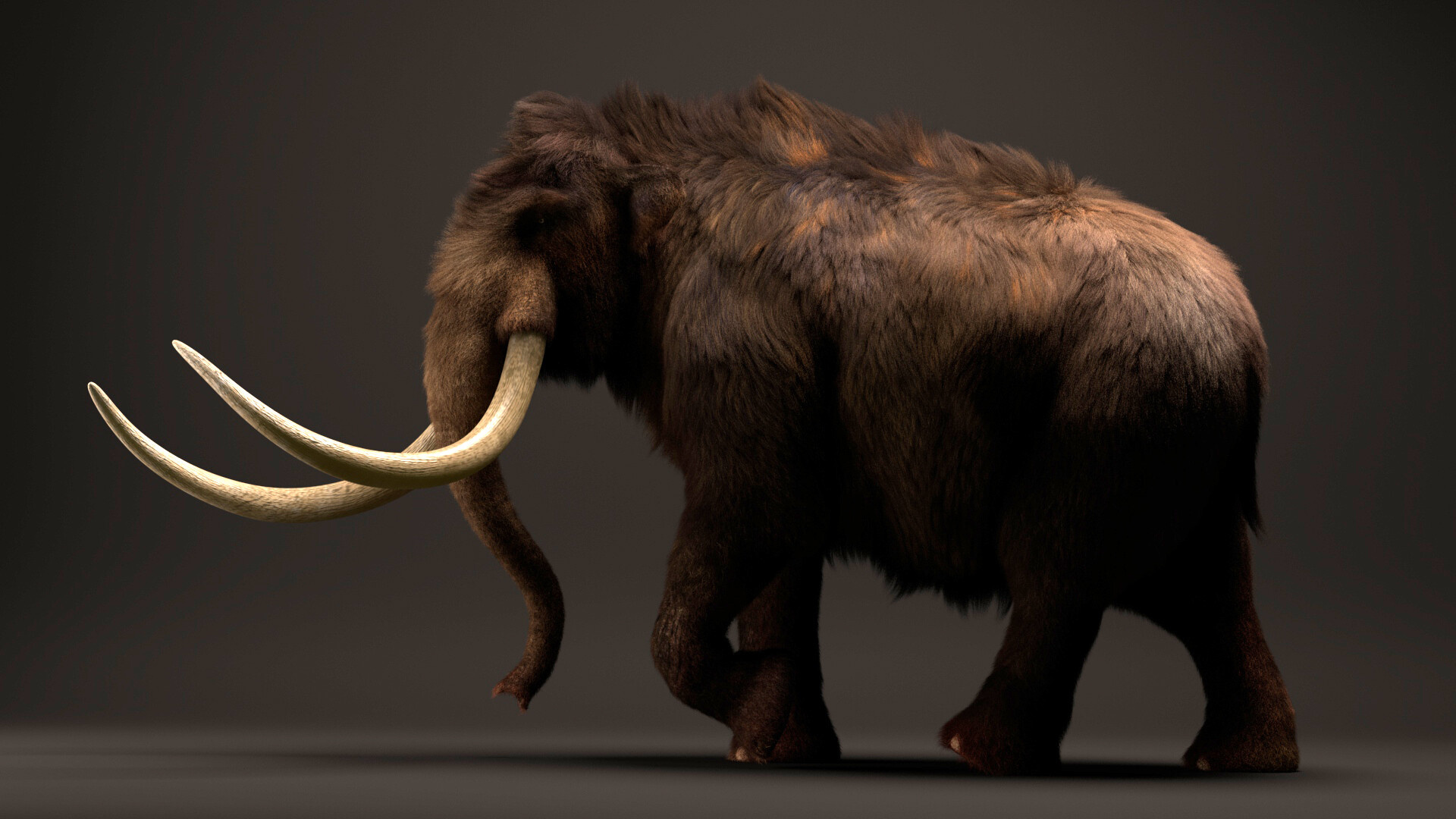 Steppe mammoth fur, ArtStation, Mammoth fur art, Mammoth fur illustration, 1920x1080 Full HD Desktop