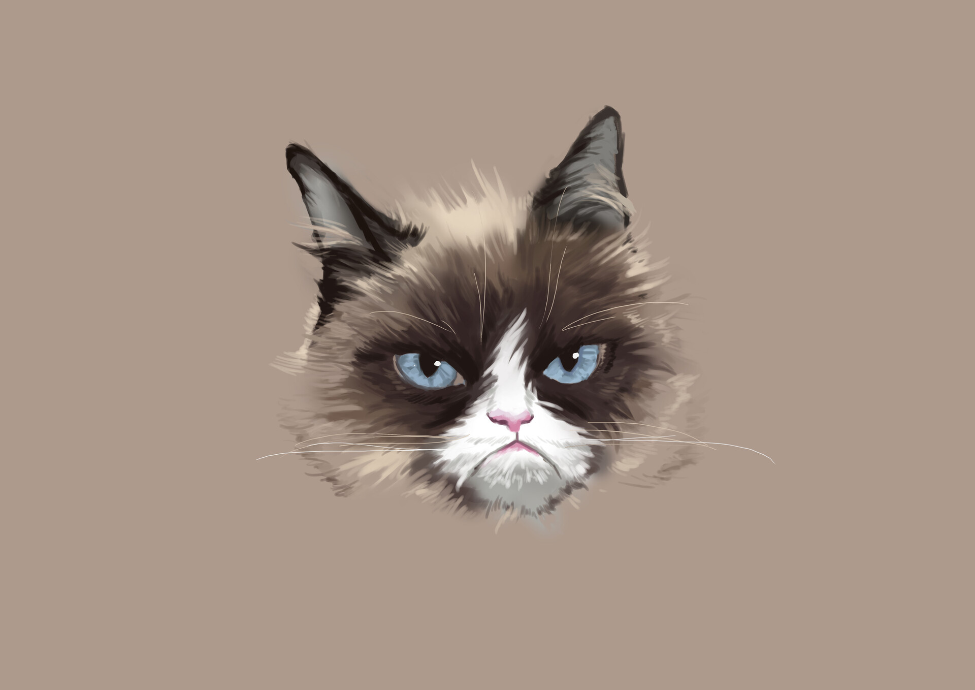 Grumpy Cat, Feline famous, Internet sensation, Legendary grumpiness, 1920x1360 HD Desktop