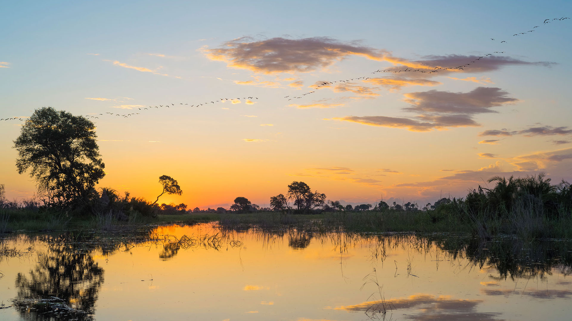 Okavango Delta safari lodge, Xigera Safari Lodge, Botswana beauty, Luxury accommodation, 1920x1080 Full HD Desktop